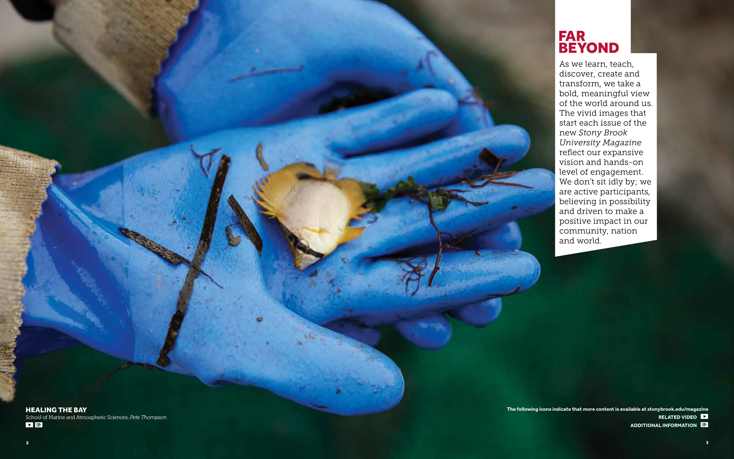 SBU_Magazine_Issue01_Final-3.jpg