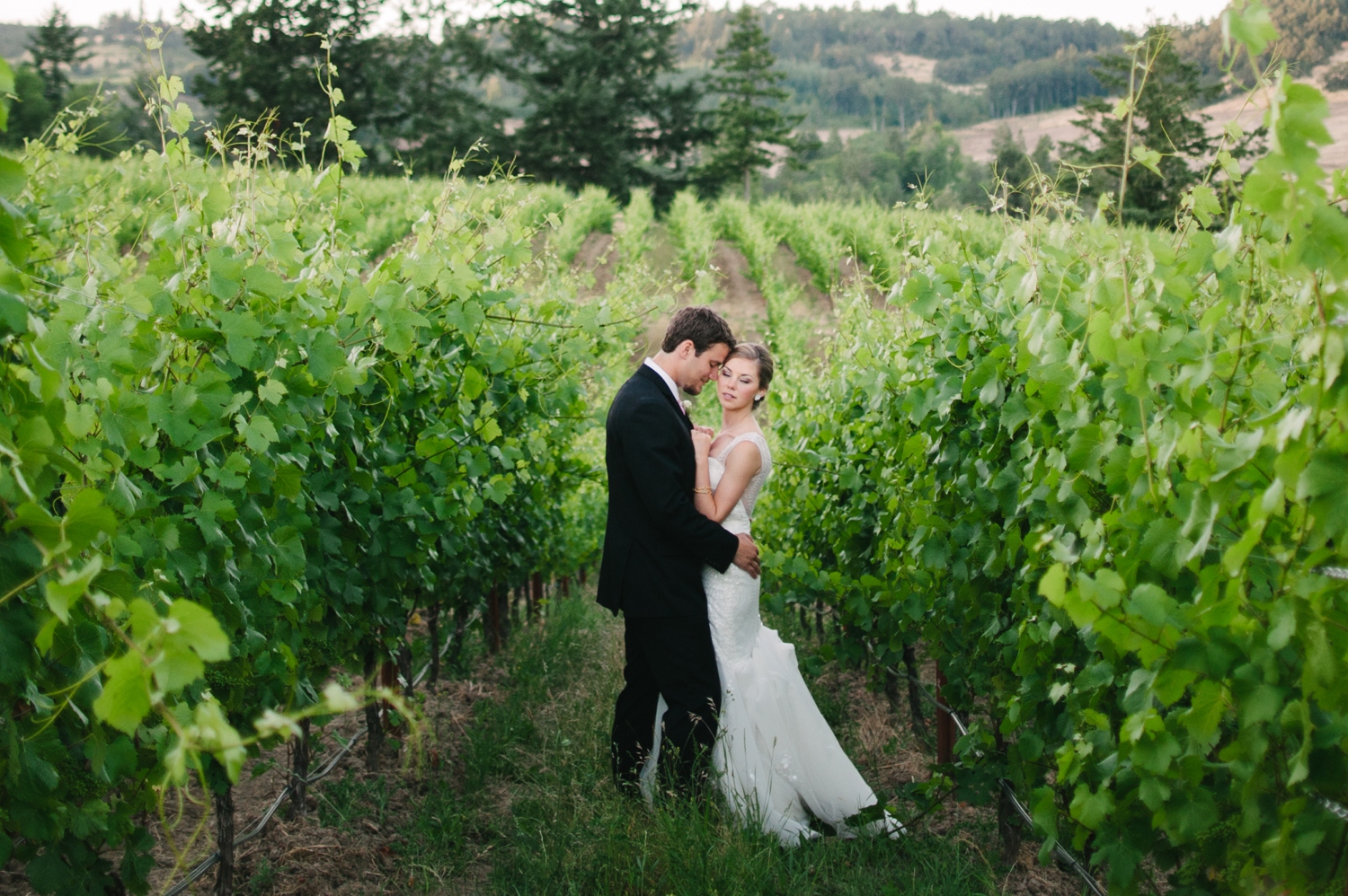 zenith vineyard wedding christa taylor_0587.jpg