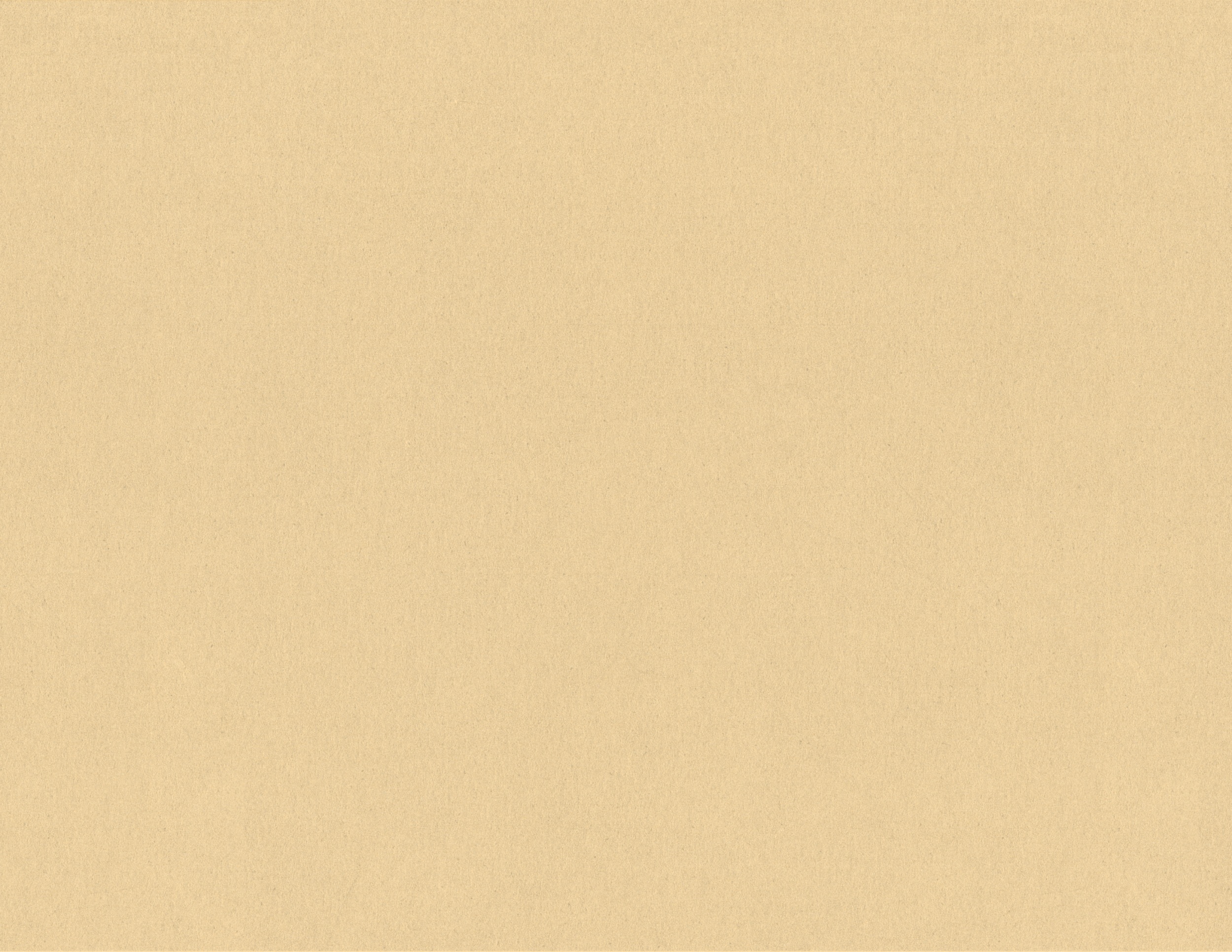 Untitled_Artwork 2 copy.png