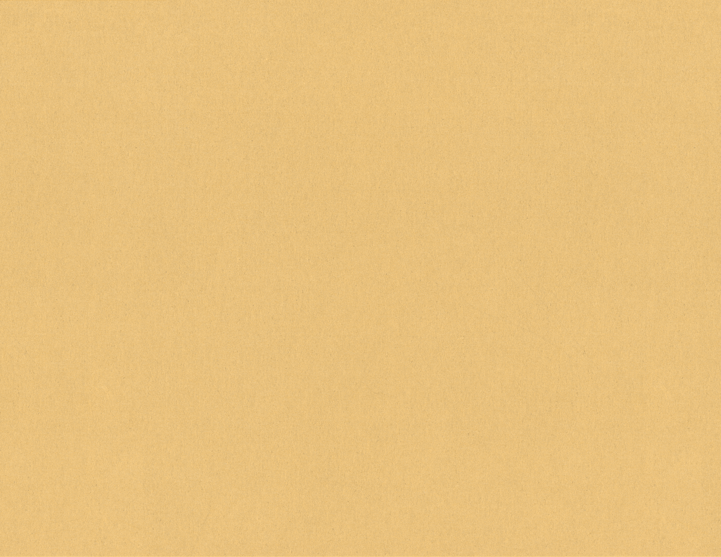 Untitled_Artwork 1 copy.png
