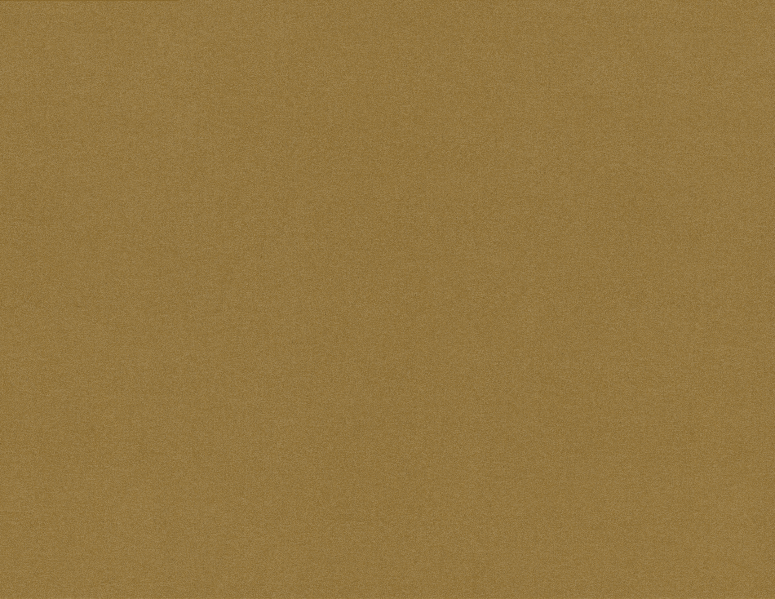 Untitled_Artwork 12.png