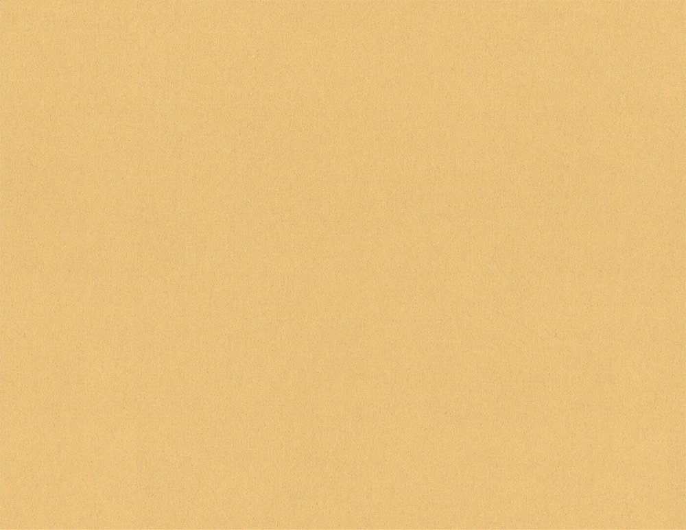 Untitled_Artwork 1 copy 2.png