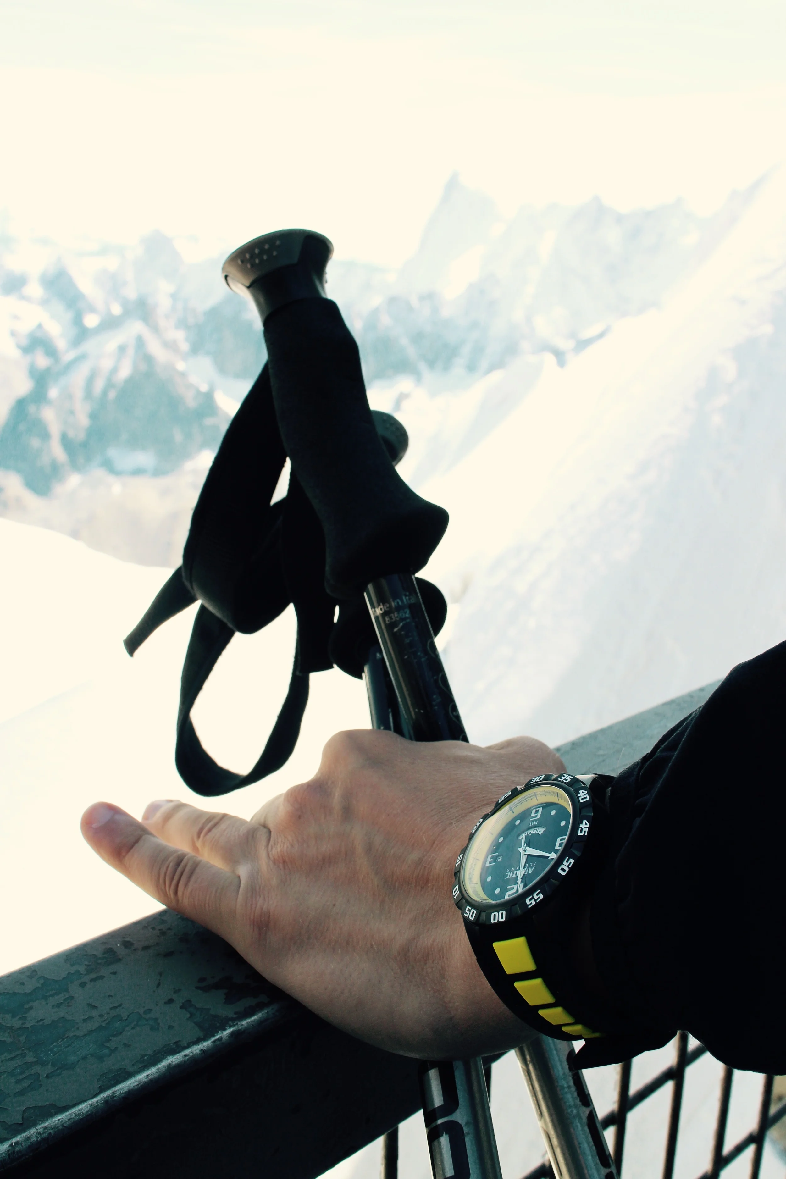 Aiguille du Midi/A man lives a very long time indeed. The only other creature that has his longevity are certain trees and large turtles.