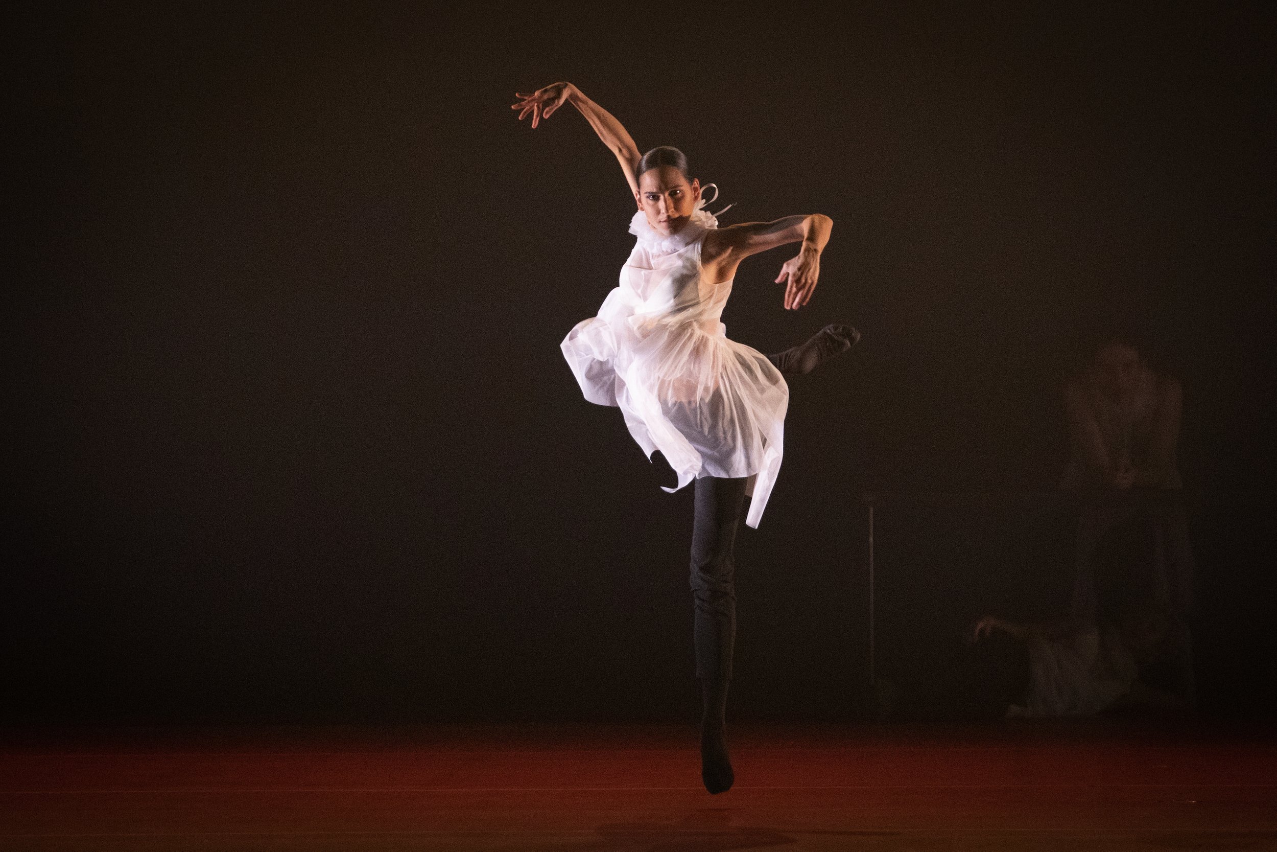 102821 Ballet Des Moines - Ryan Morrison-39.jpg