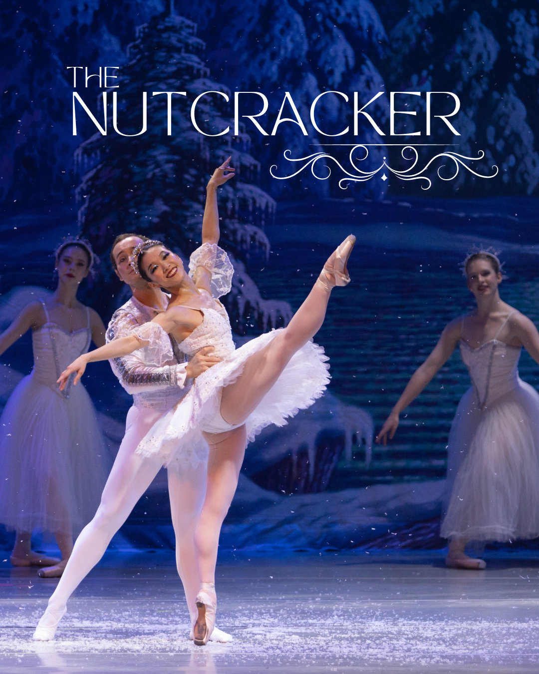 Educational Performances — Ballet Des Moines