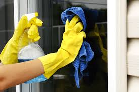cleaning 5.jpeg