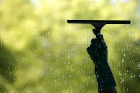 cleaning 6.jpeg