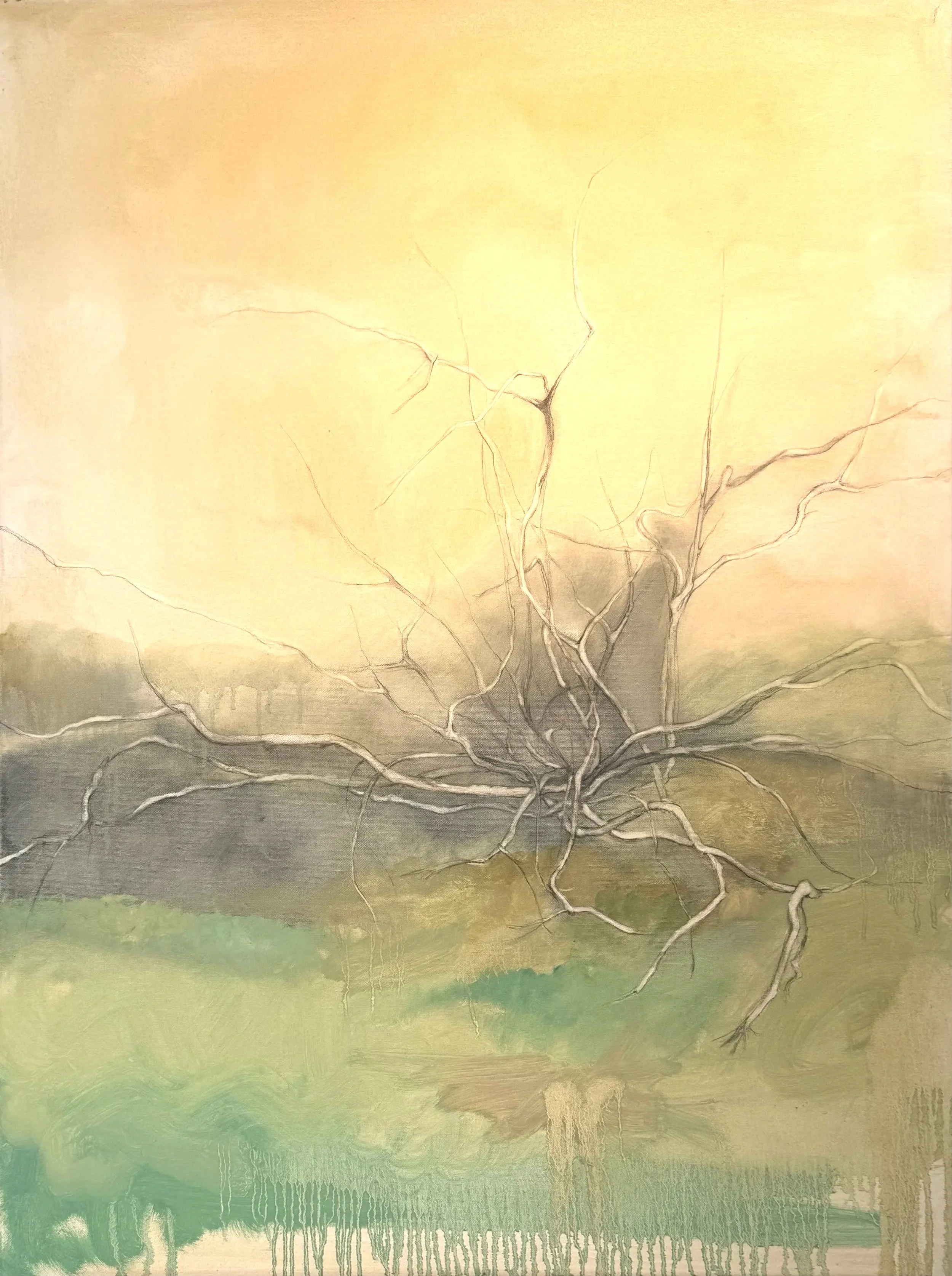 On the easel -- January 2026