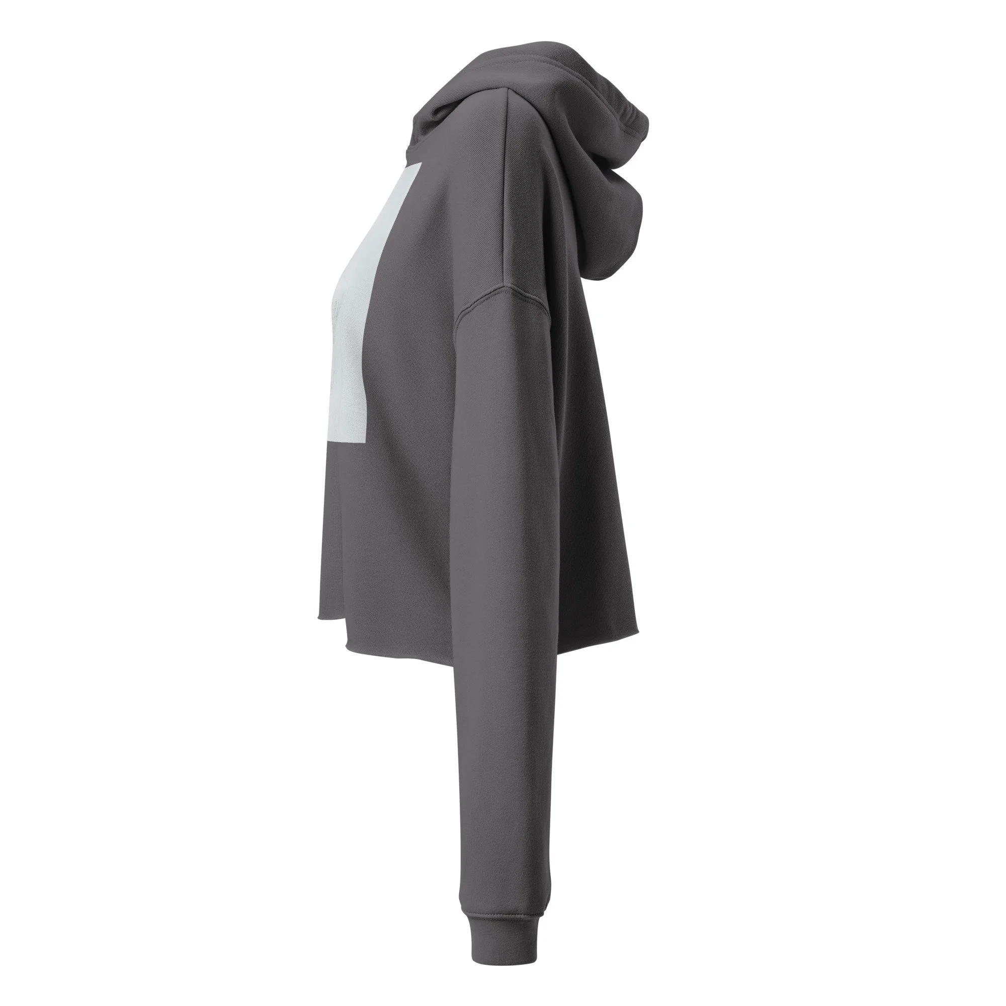VISIBLE INVISIBILITY — Crop Hoodie No. 02