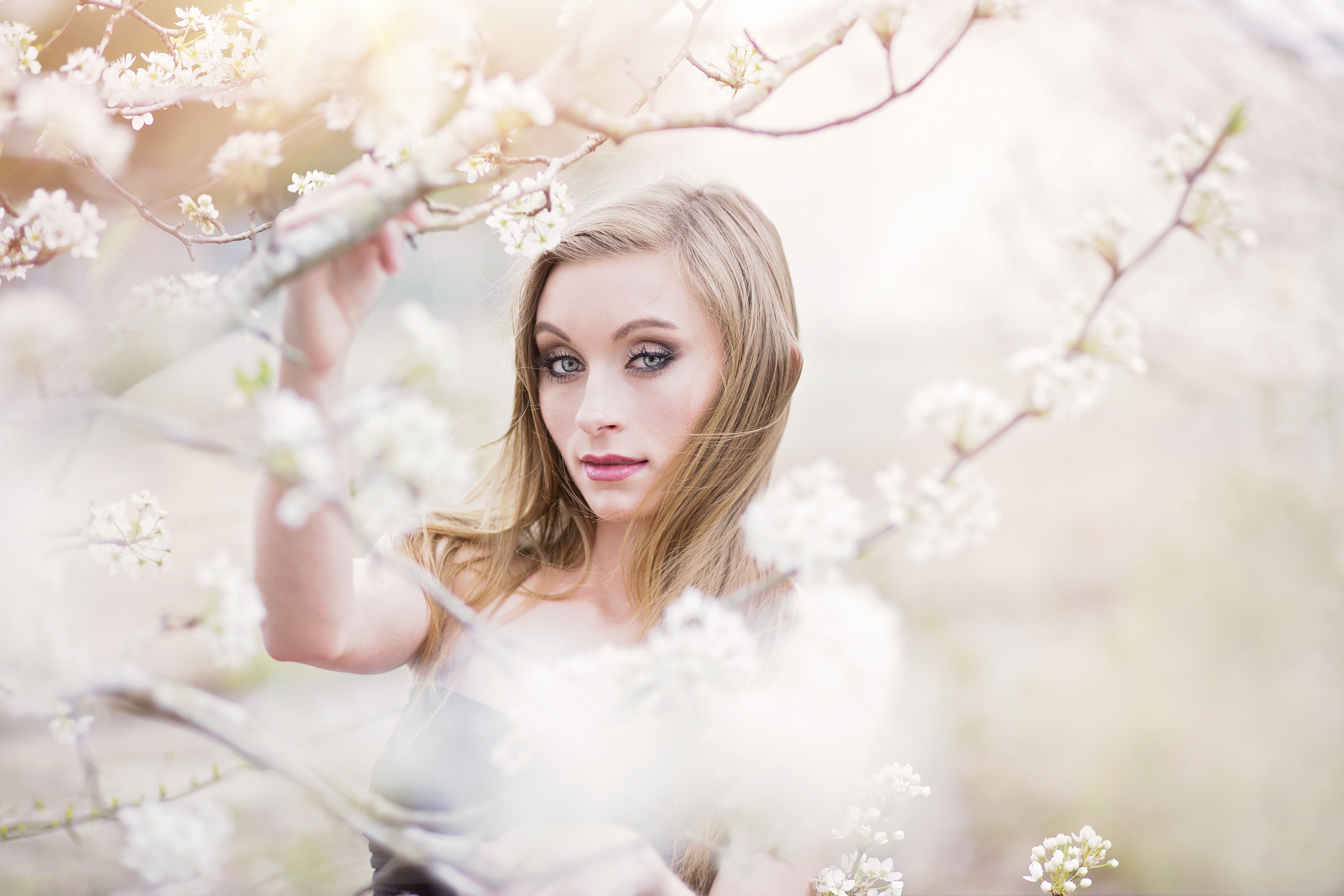 seneca sc Senior Photographer