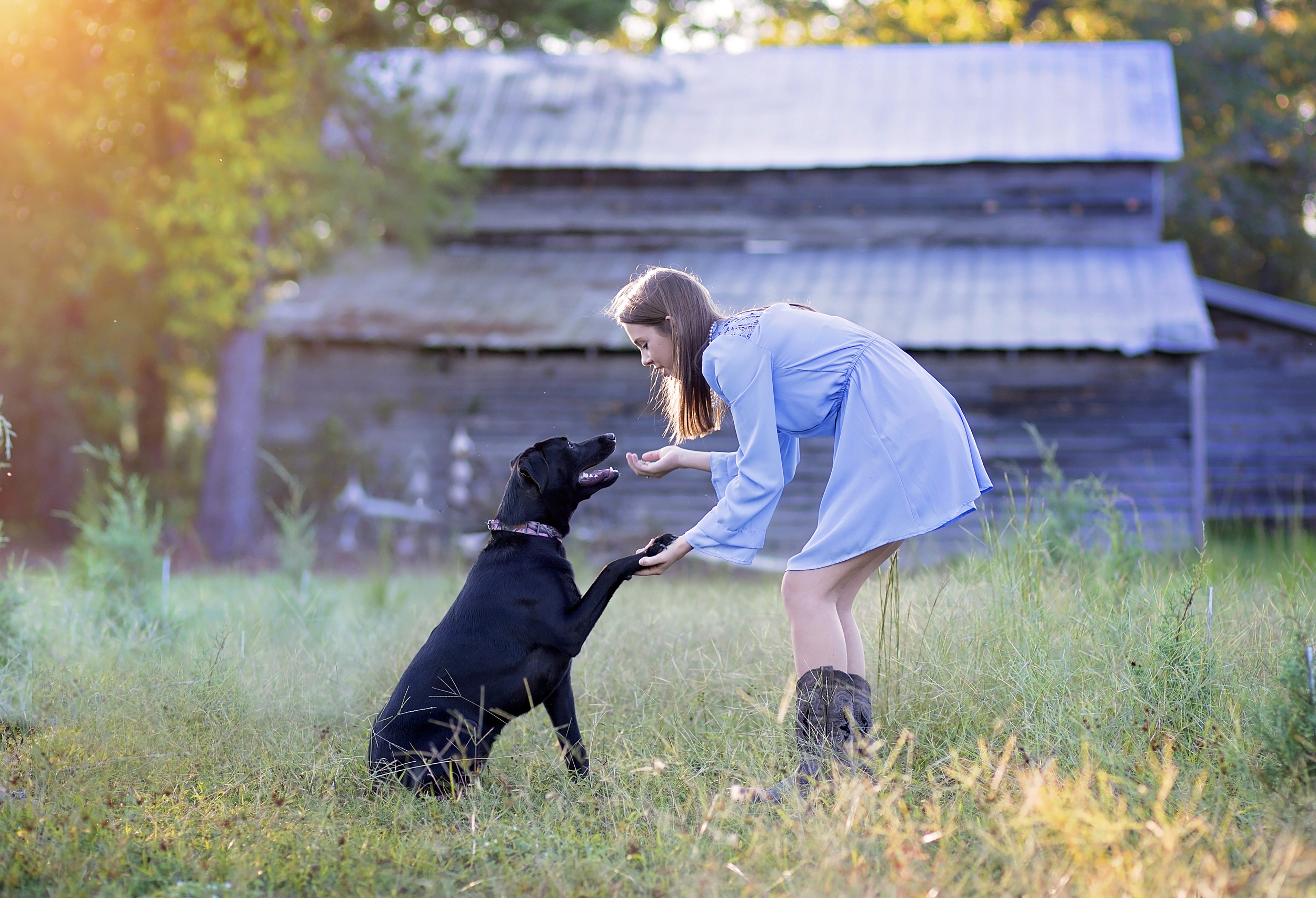 pickens sc senior portrait photographer