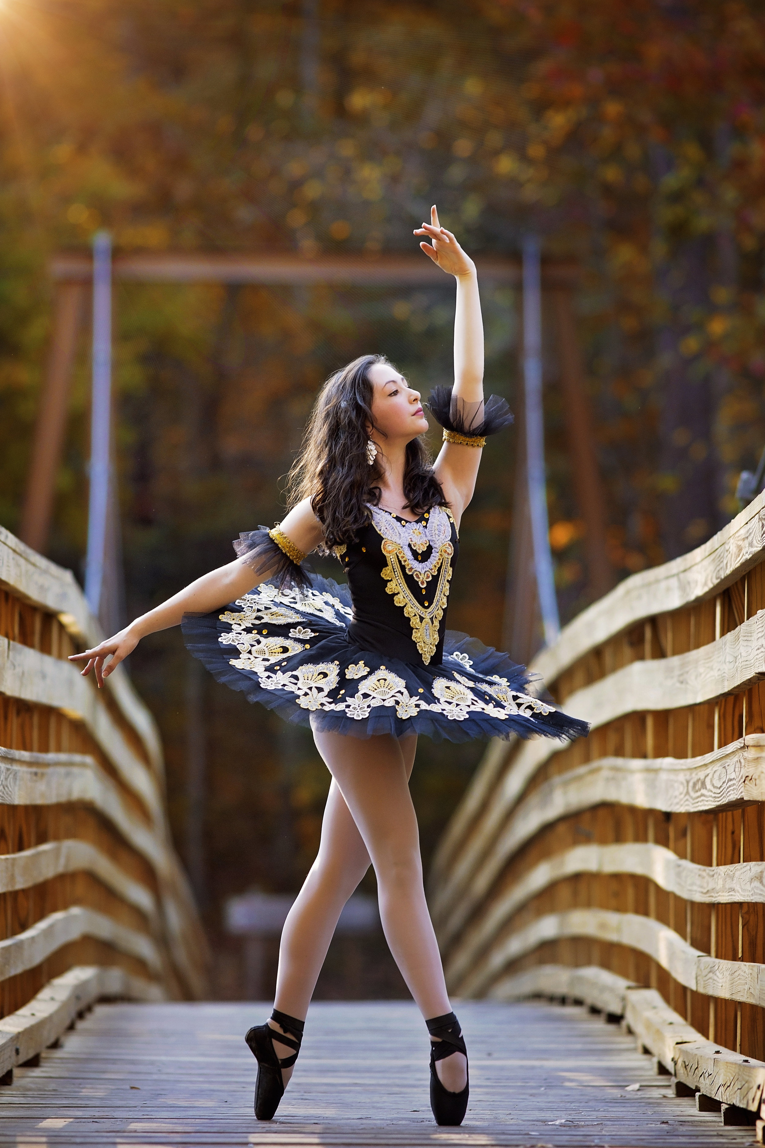 oconee south carolina ballet