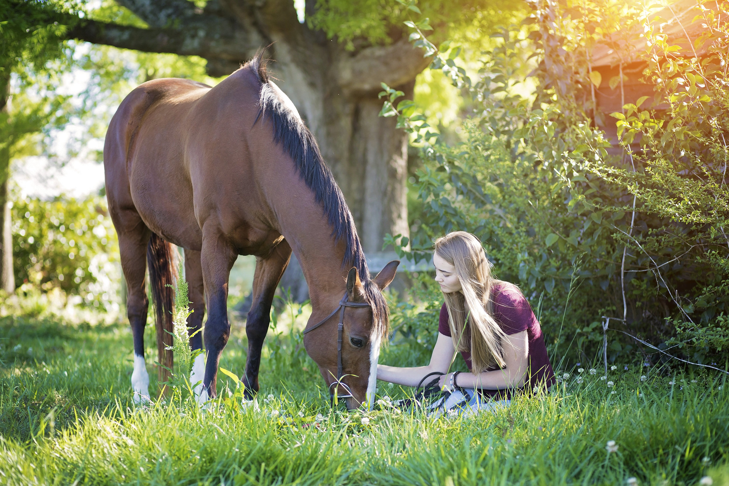 senior portraits horse pickens sc