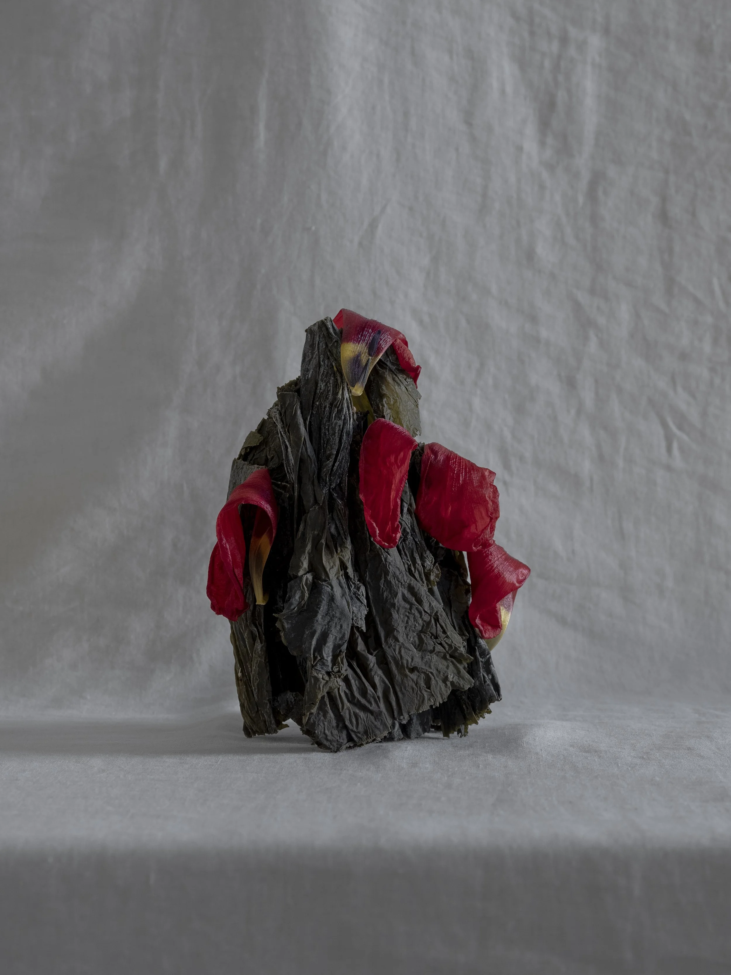 06_isolation_still_life.jpg