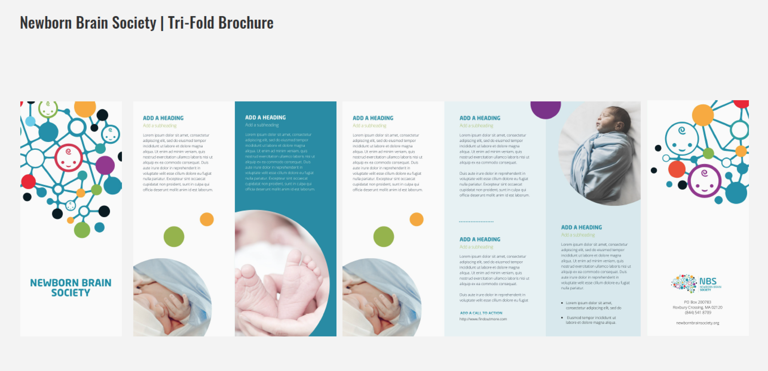 Newborn Brain Society Brand Materials