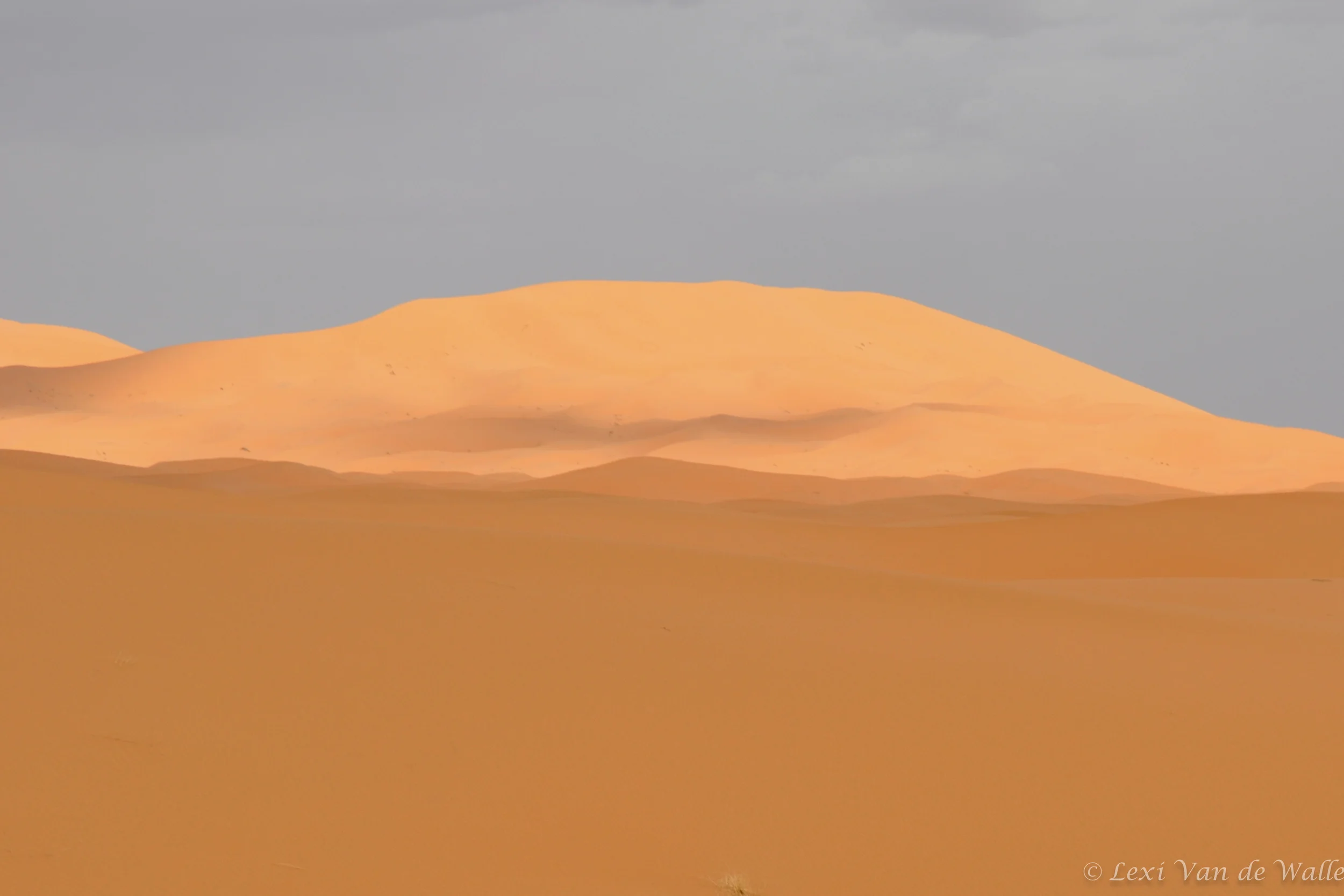 Sahara Desert at Dawn, 2013