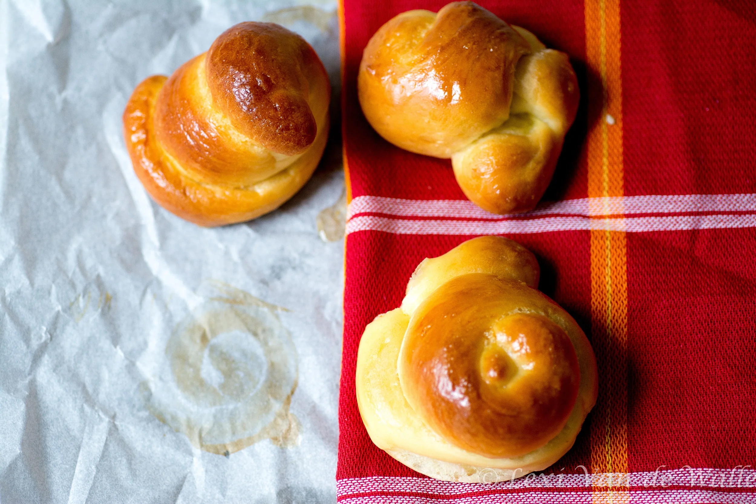 Dinner Rolls, 2016