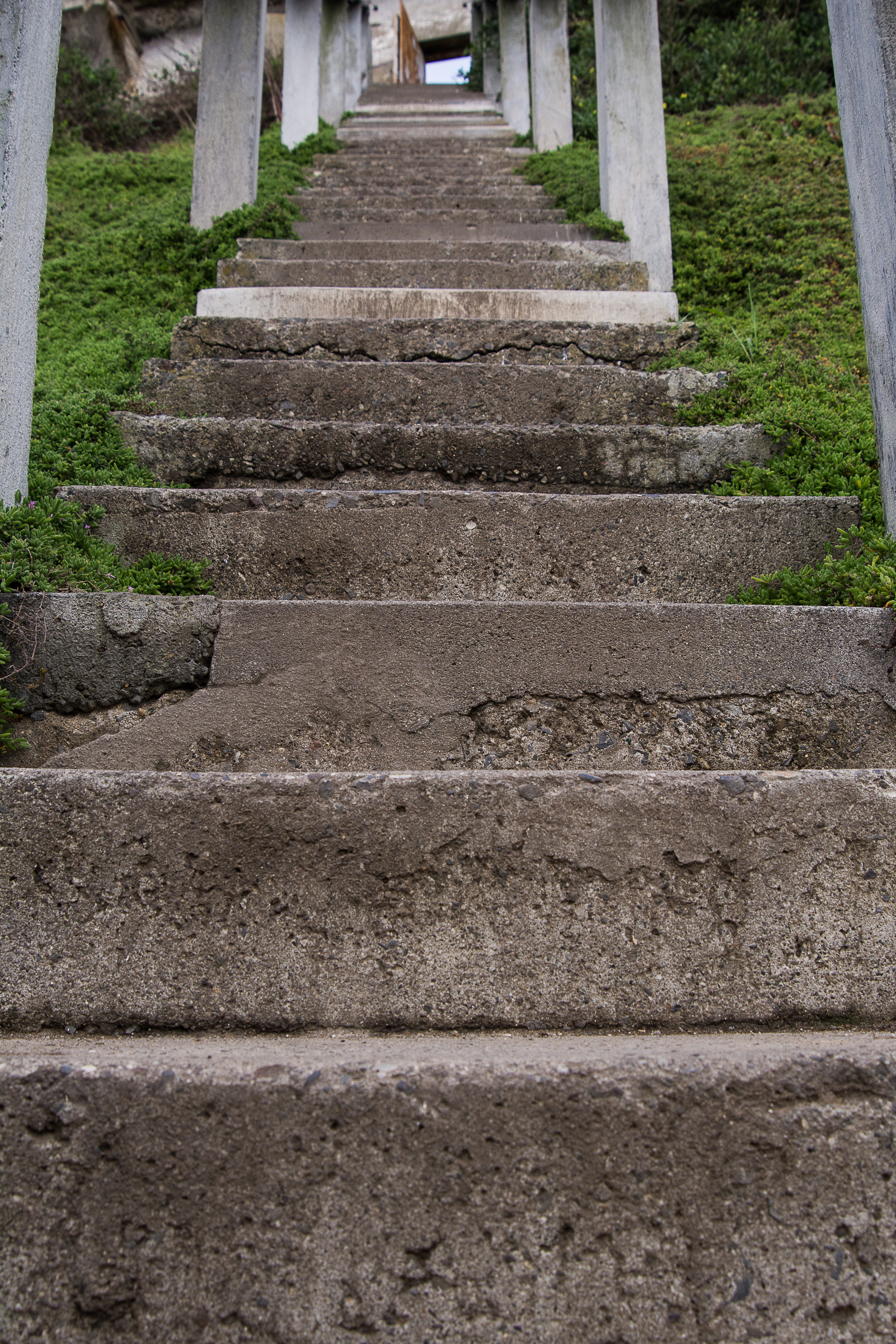 Garden Staircase, Alcatraz, 2016