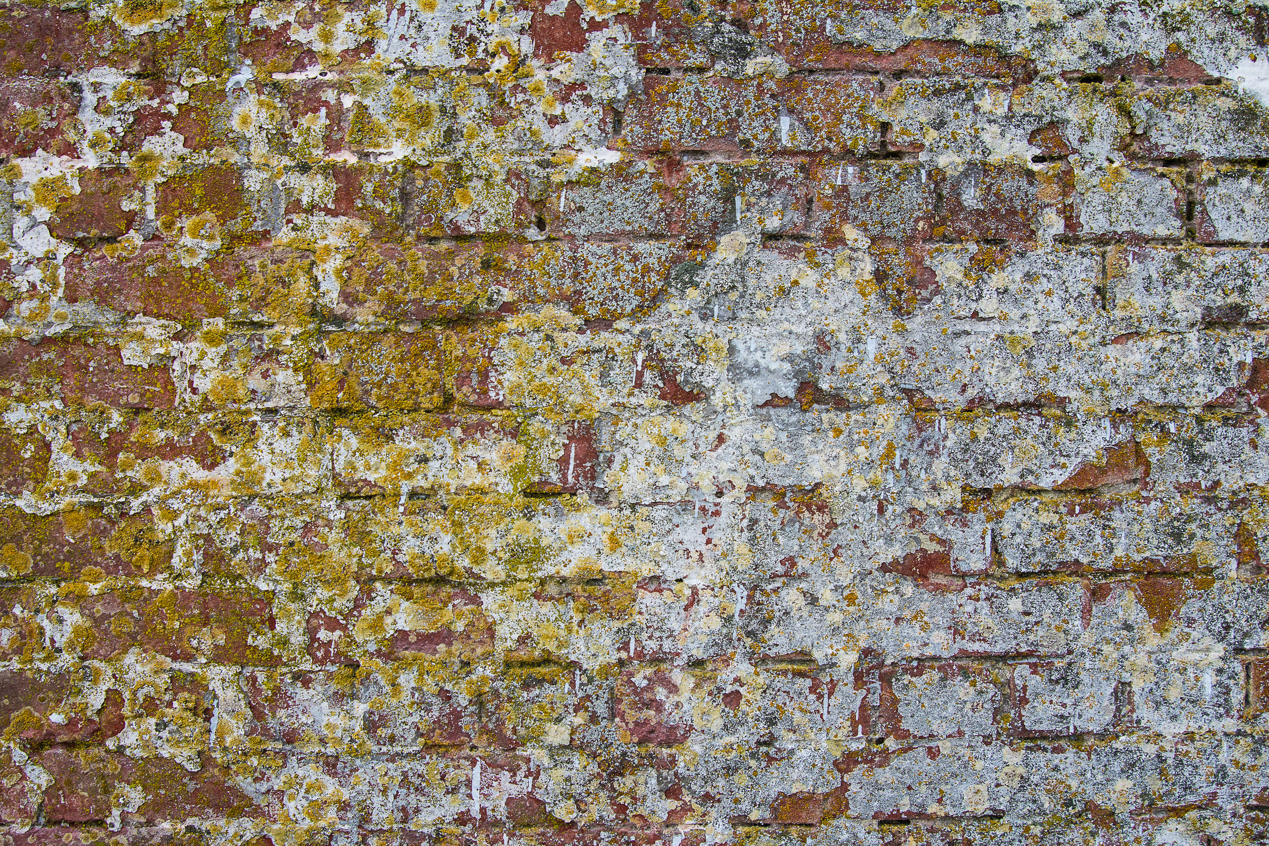 A Wall With Stories, Alcatraz, 2016