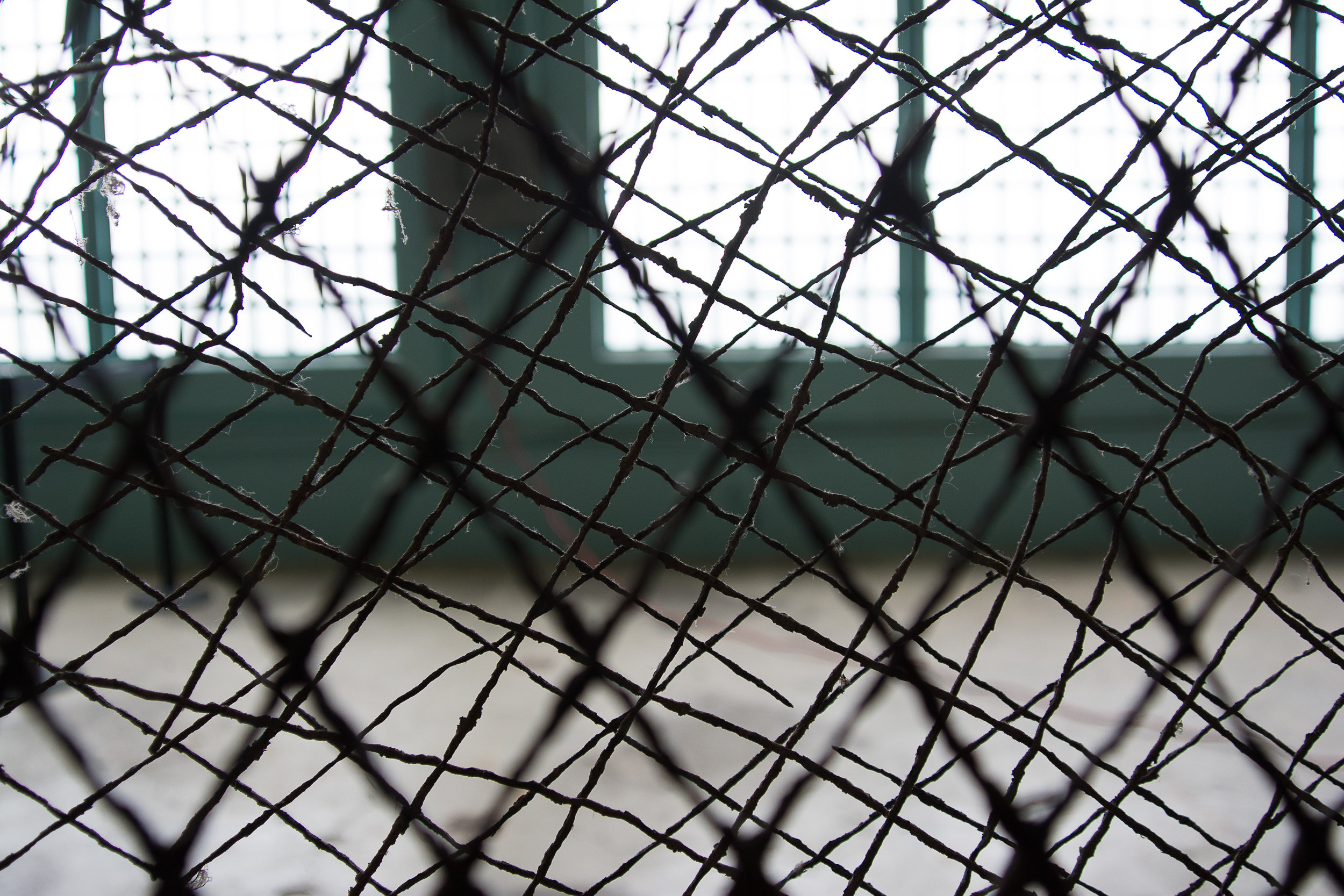 Room Divider, Alcatraz, 2016