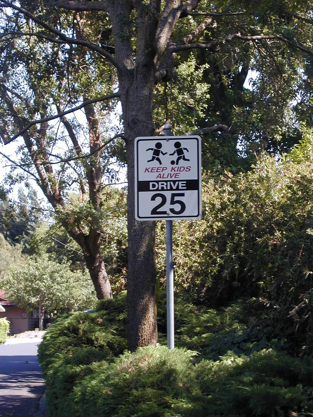 KEEP KIDS ALIVE DRIVE 25® Street Sign — KEEP KIDS ALIVE DRIVE 25®