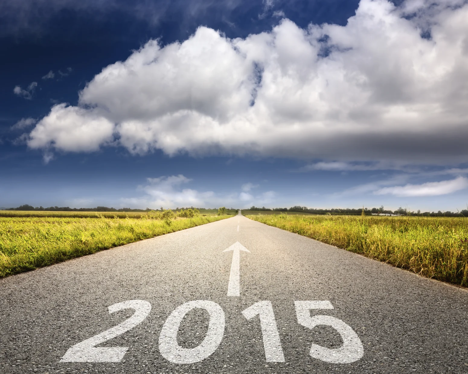 Highlights from 2015