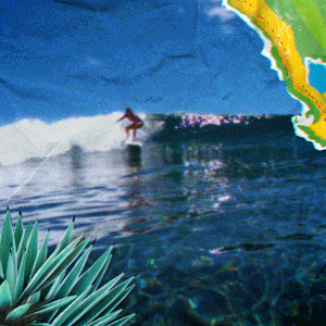 Carousel3.gif