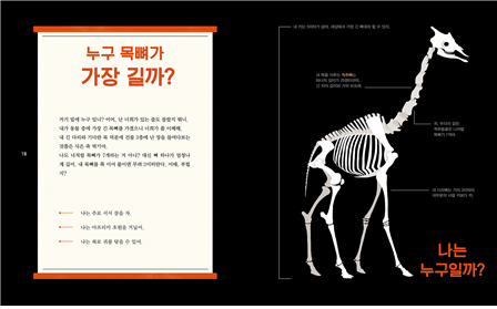 Bones_Korean_Giraffe.png