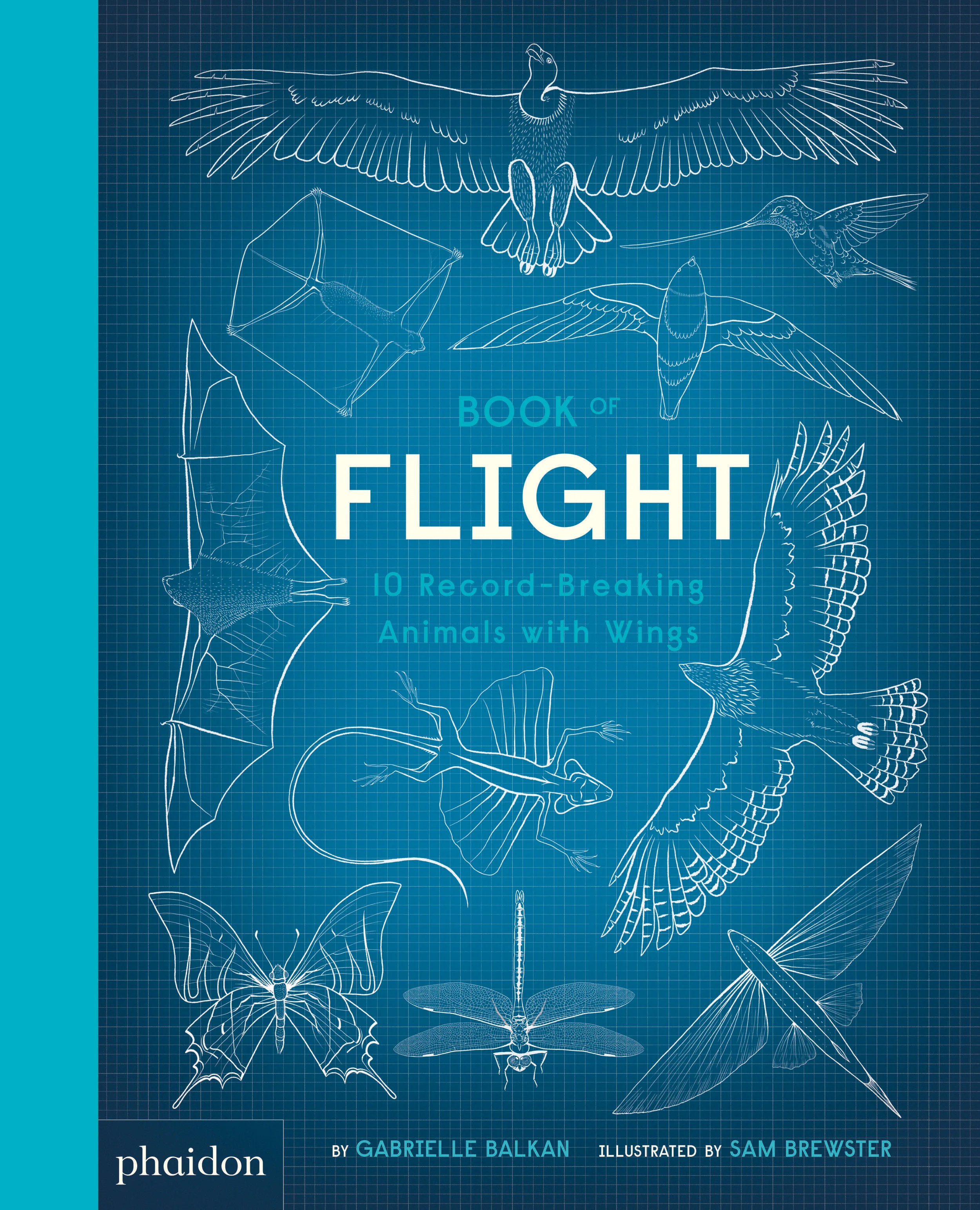 Gabrielle Balkan _Book of Flight_Cover.jpg