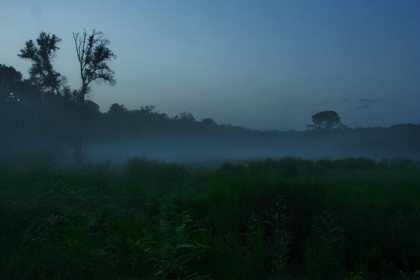 Dawn at Guana.jpg