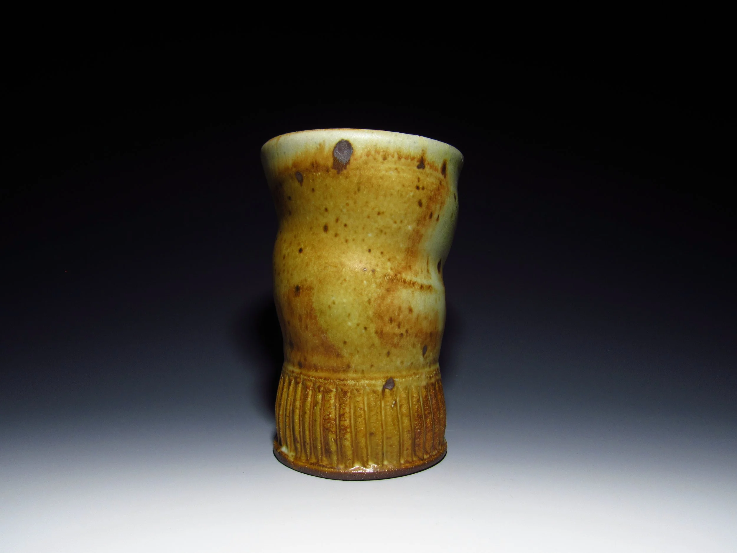 Shop Update 16 Back.JPG