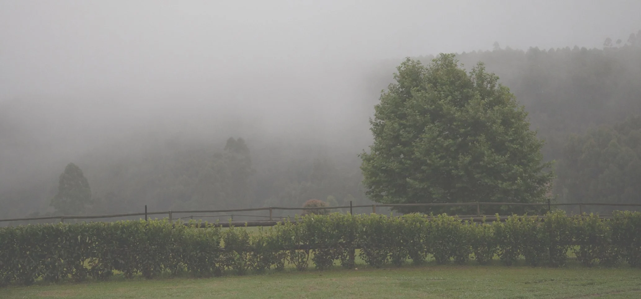 landscape 2.jpg