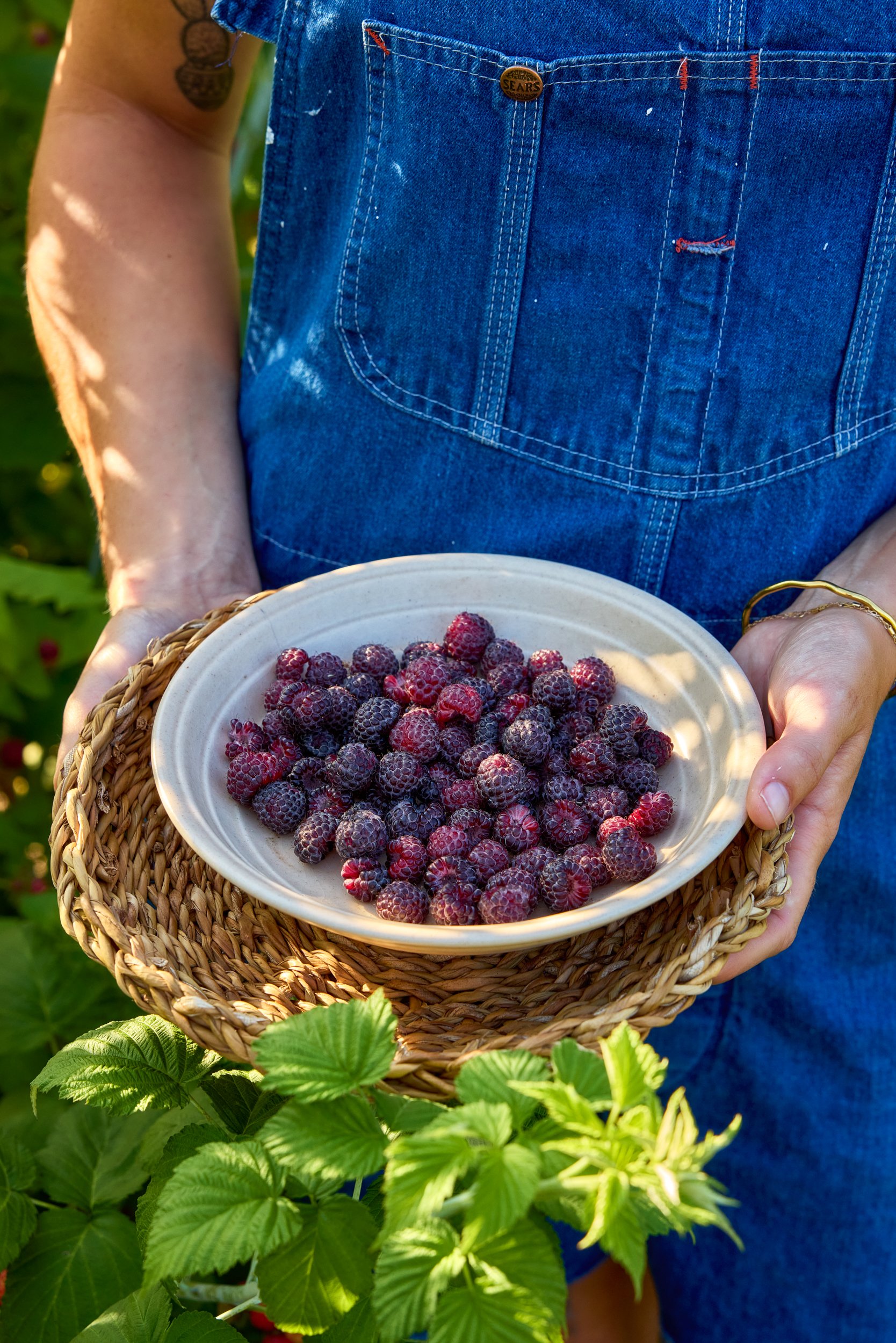 SM_062525_369_RASPBERRY_TAHI.jpg