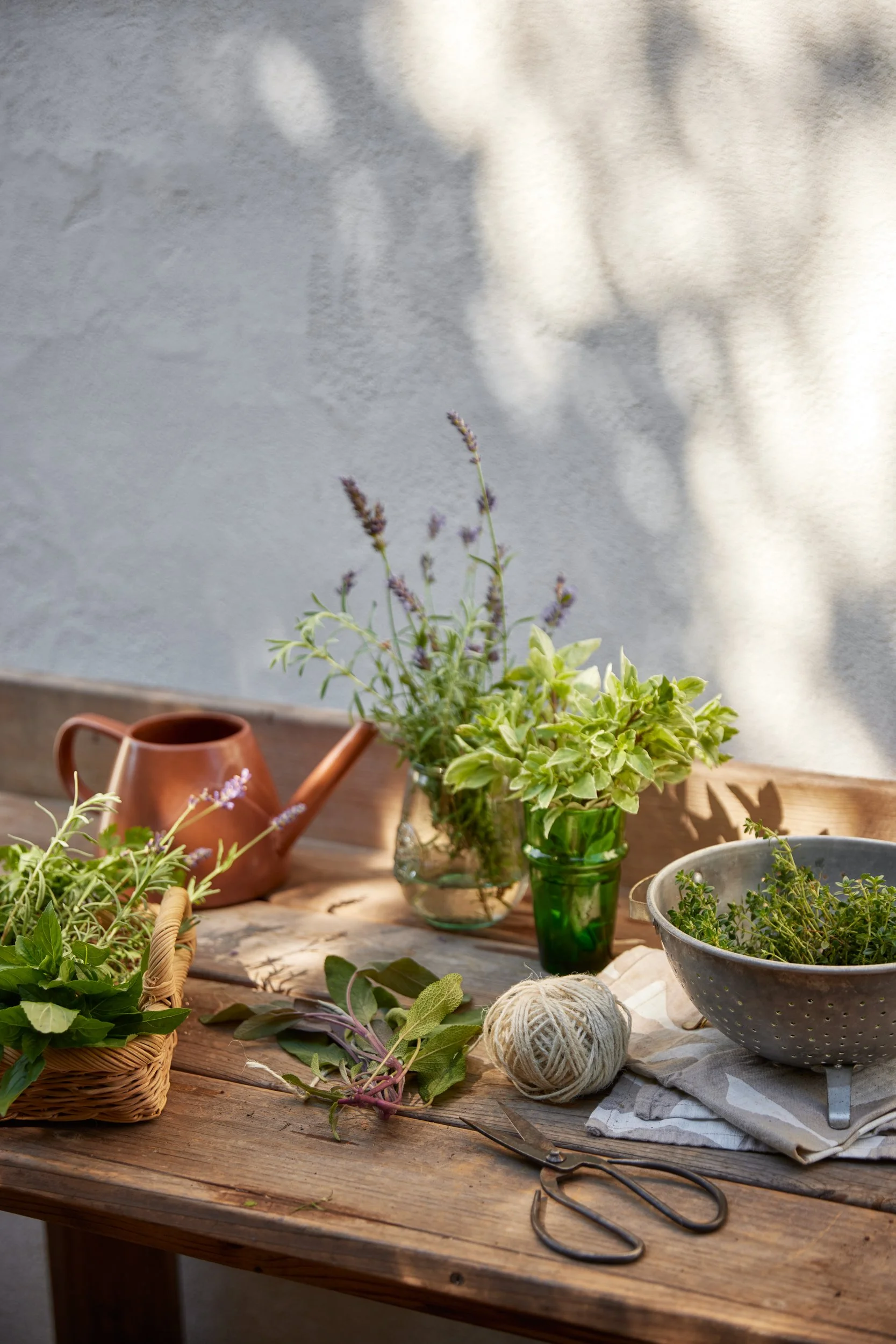 SM_070224_023_HERB HARVEST.jpg