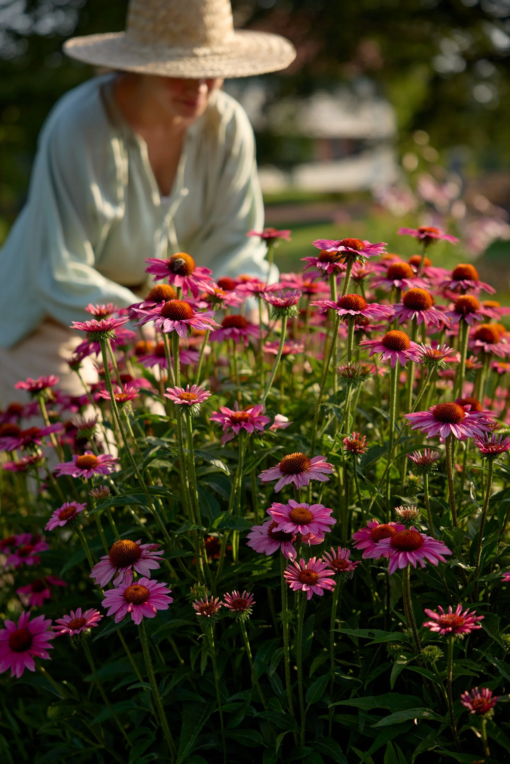 SM_070623_014_PINK SHIMMER.jpg