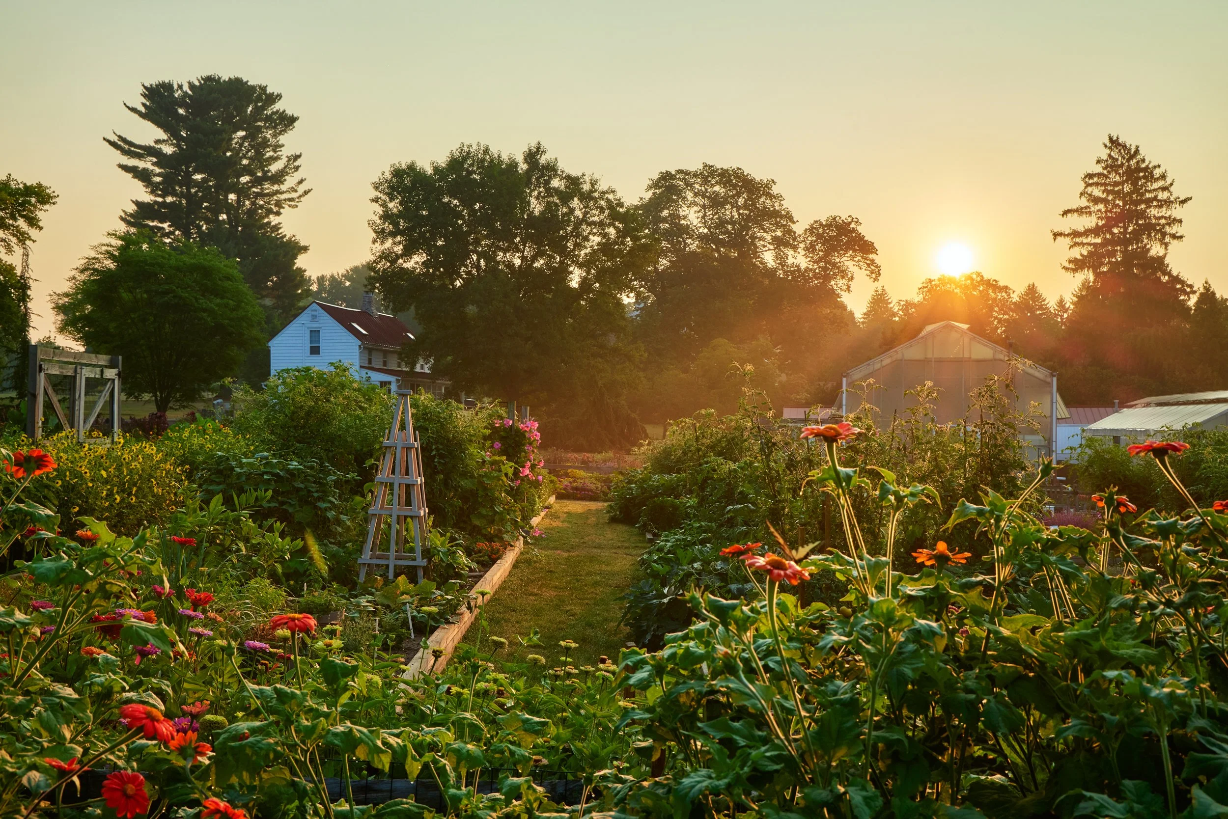 SM_080124_241_KITCHEN GARDEN SUNRISE.jpg