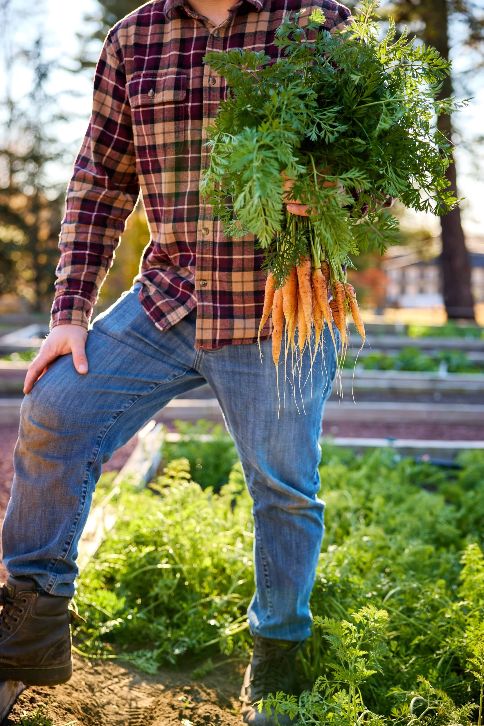 SM_112023_136_CARROT_TOUCHON.jpg