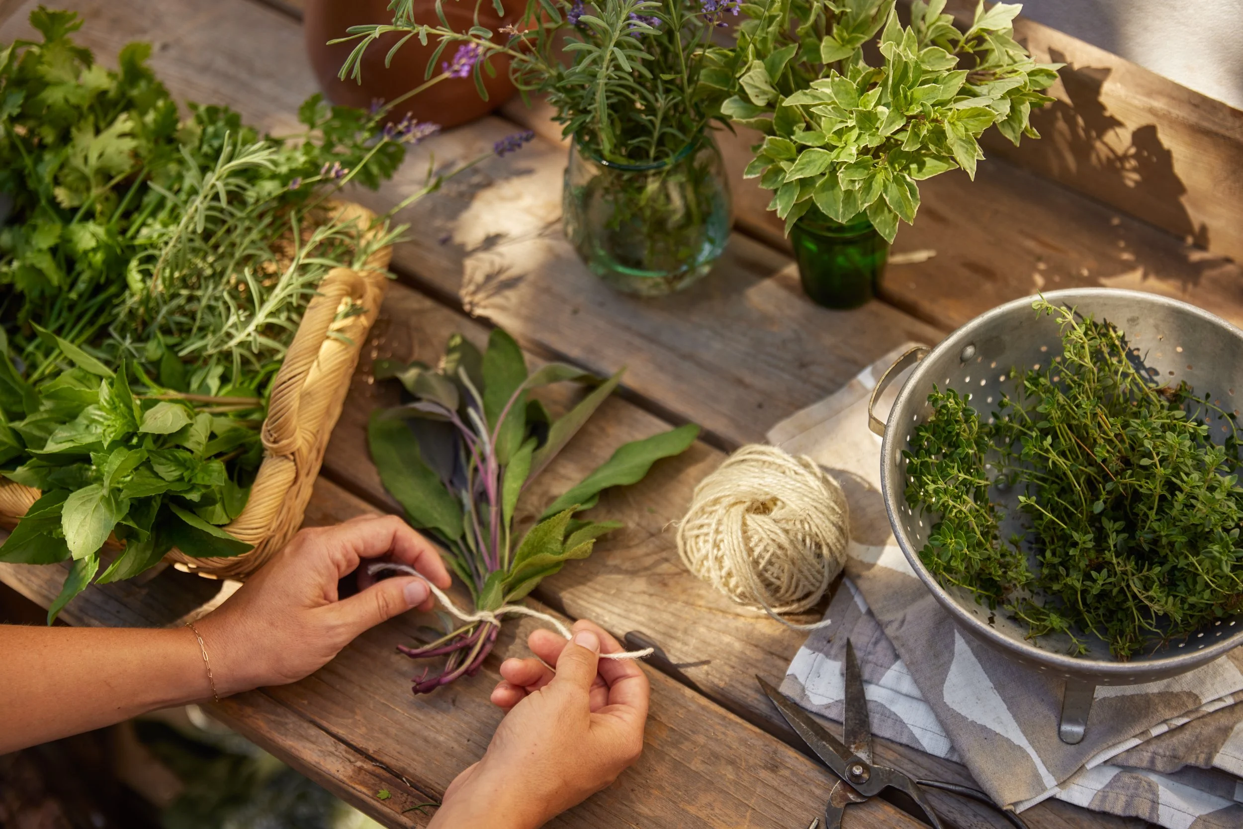 SM_070224_043_HERB HARVEST.jpg