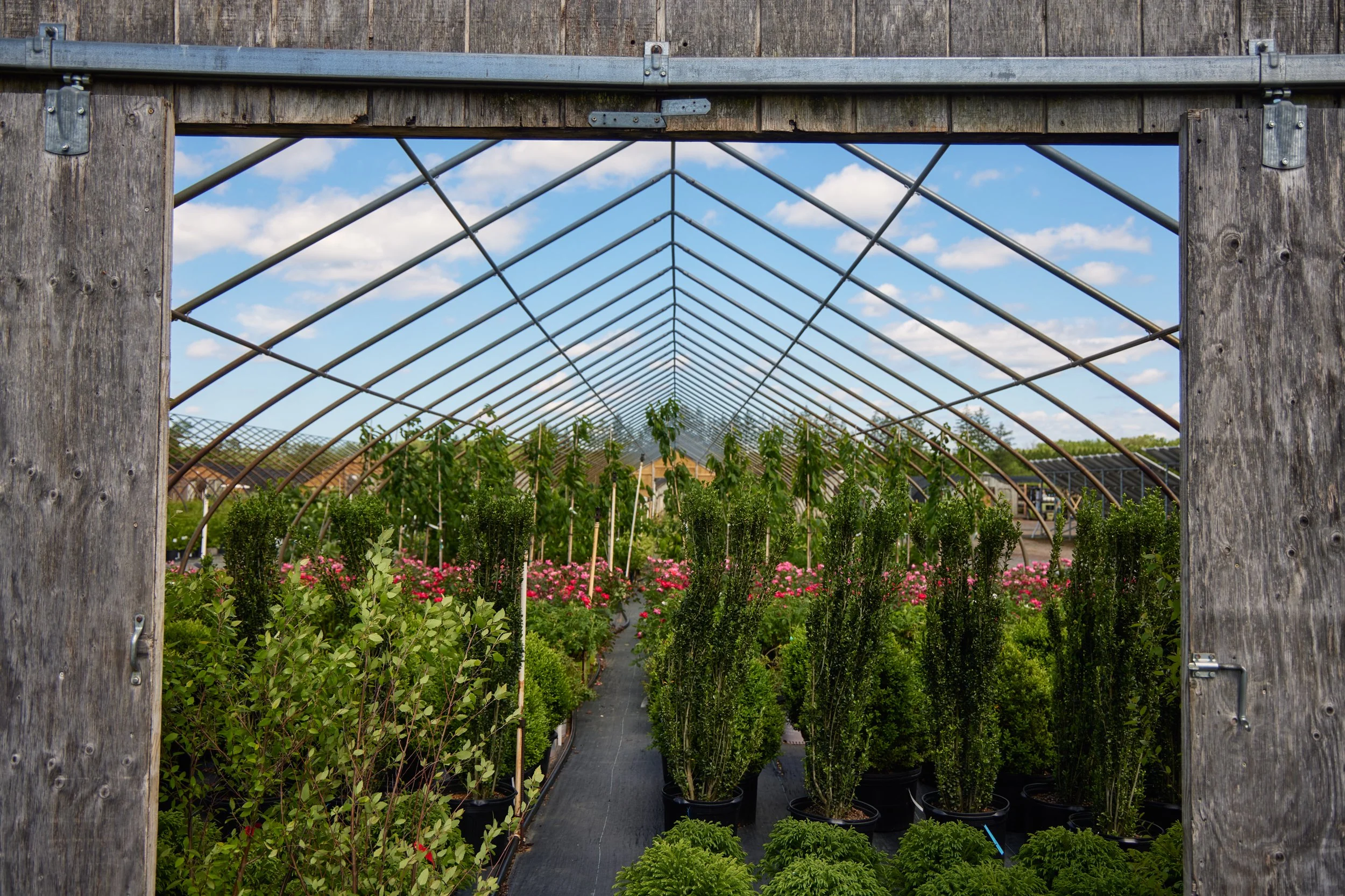 PRN_051925_234_SPRING PHOTOSHOOT.jpg