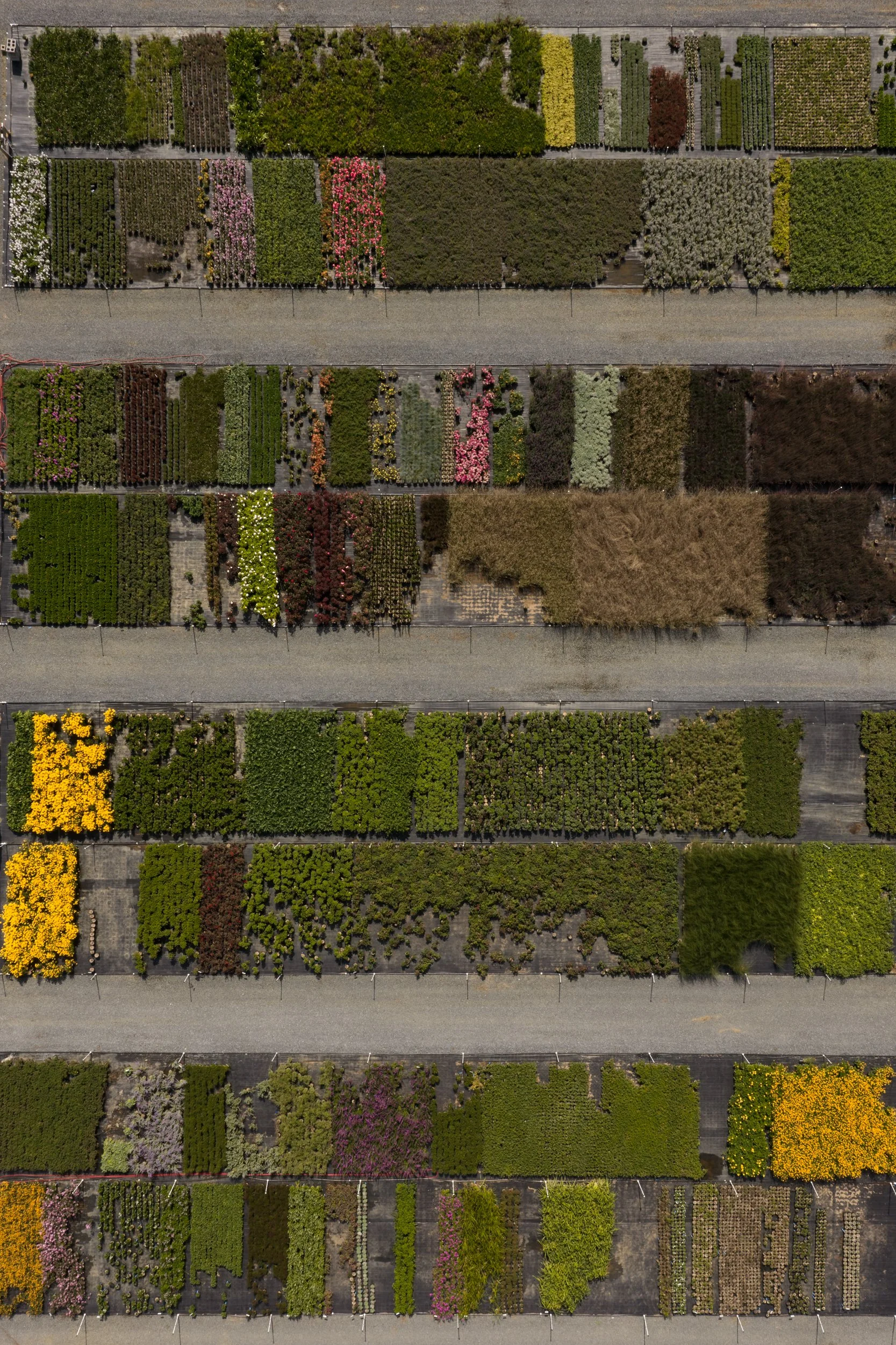 PRN_100225_AERIAL_055.jpg