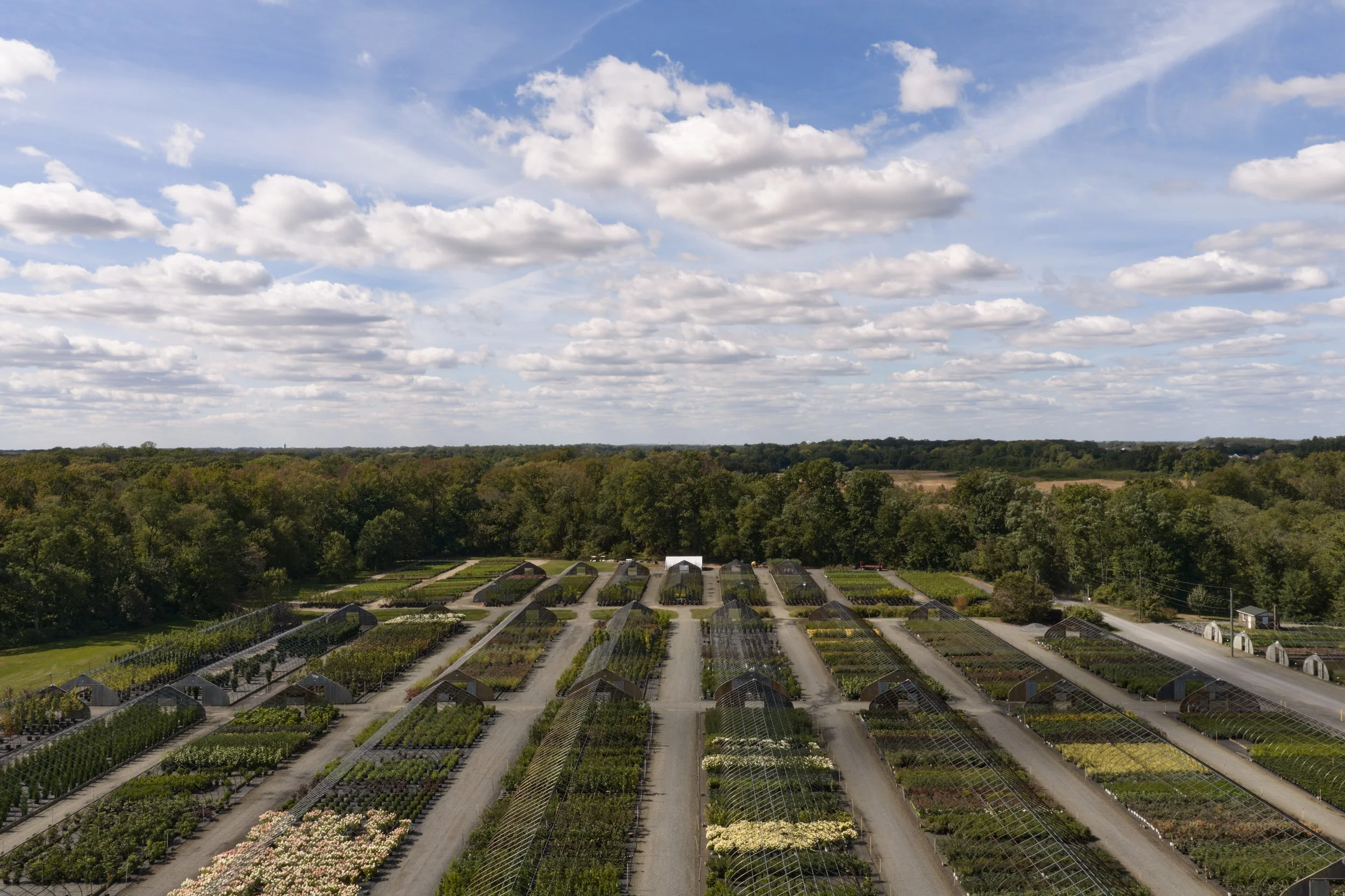 PRN_100225_AERIAL_067.jpg
