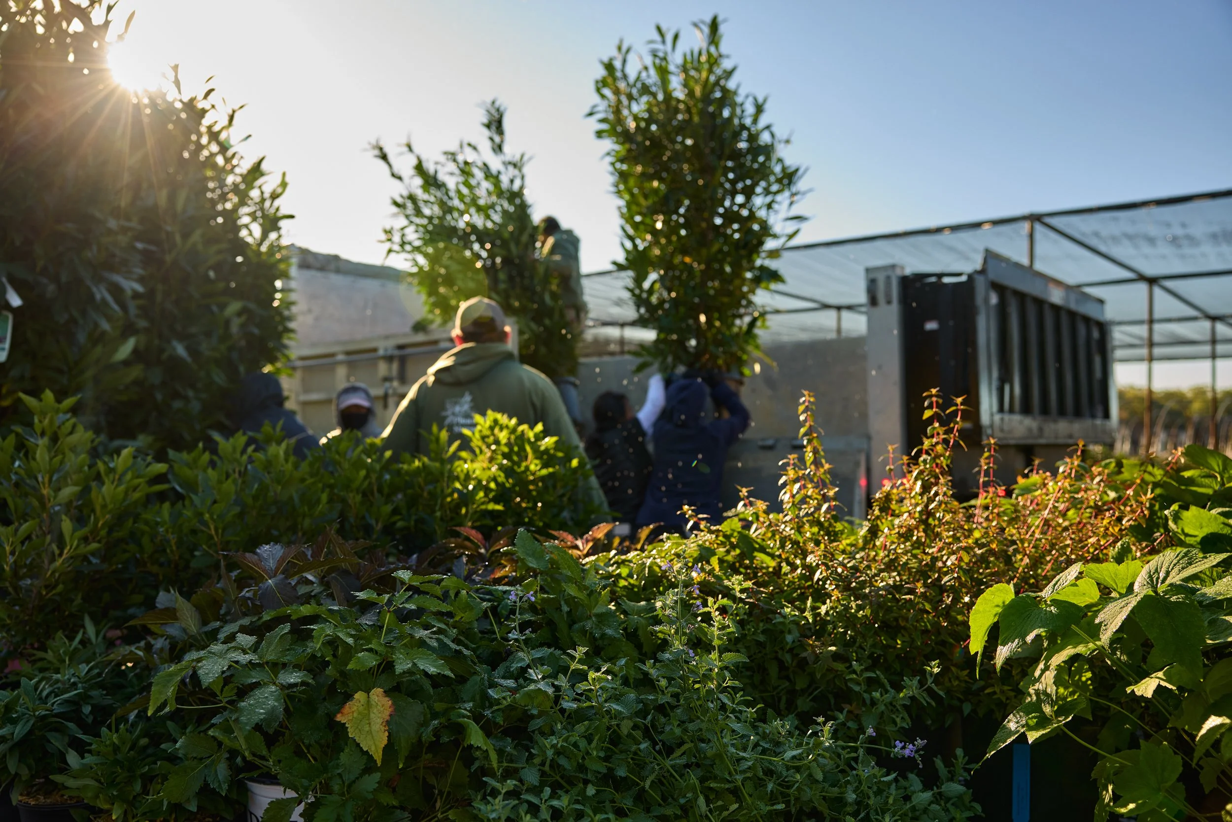 PRN_100225_NURSERY_237.jpg