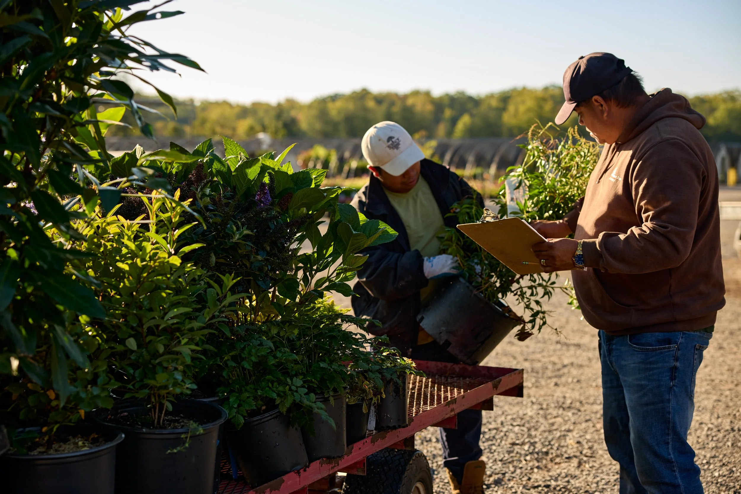 PRN_100225_NURSERY_326.jpg