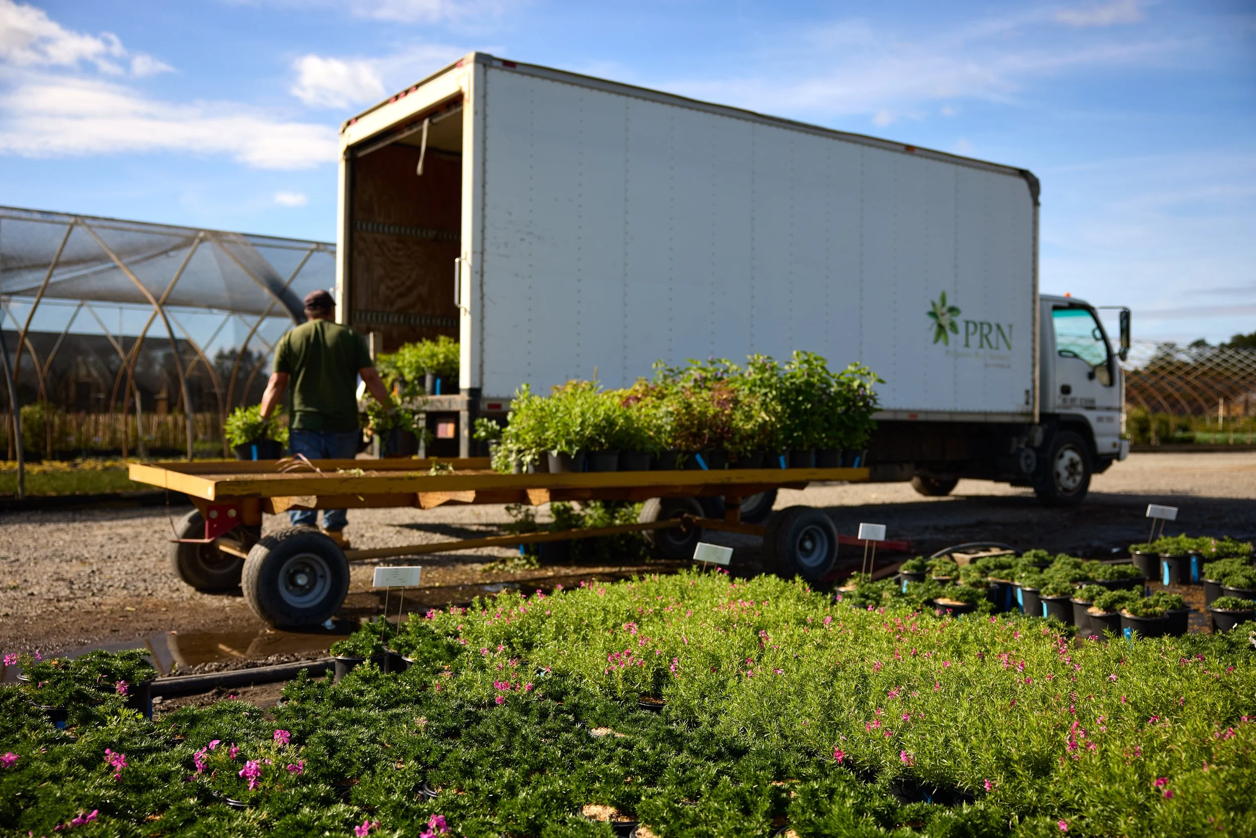 PRN_100225_NURSERY_611.jpg