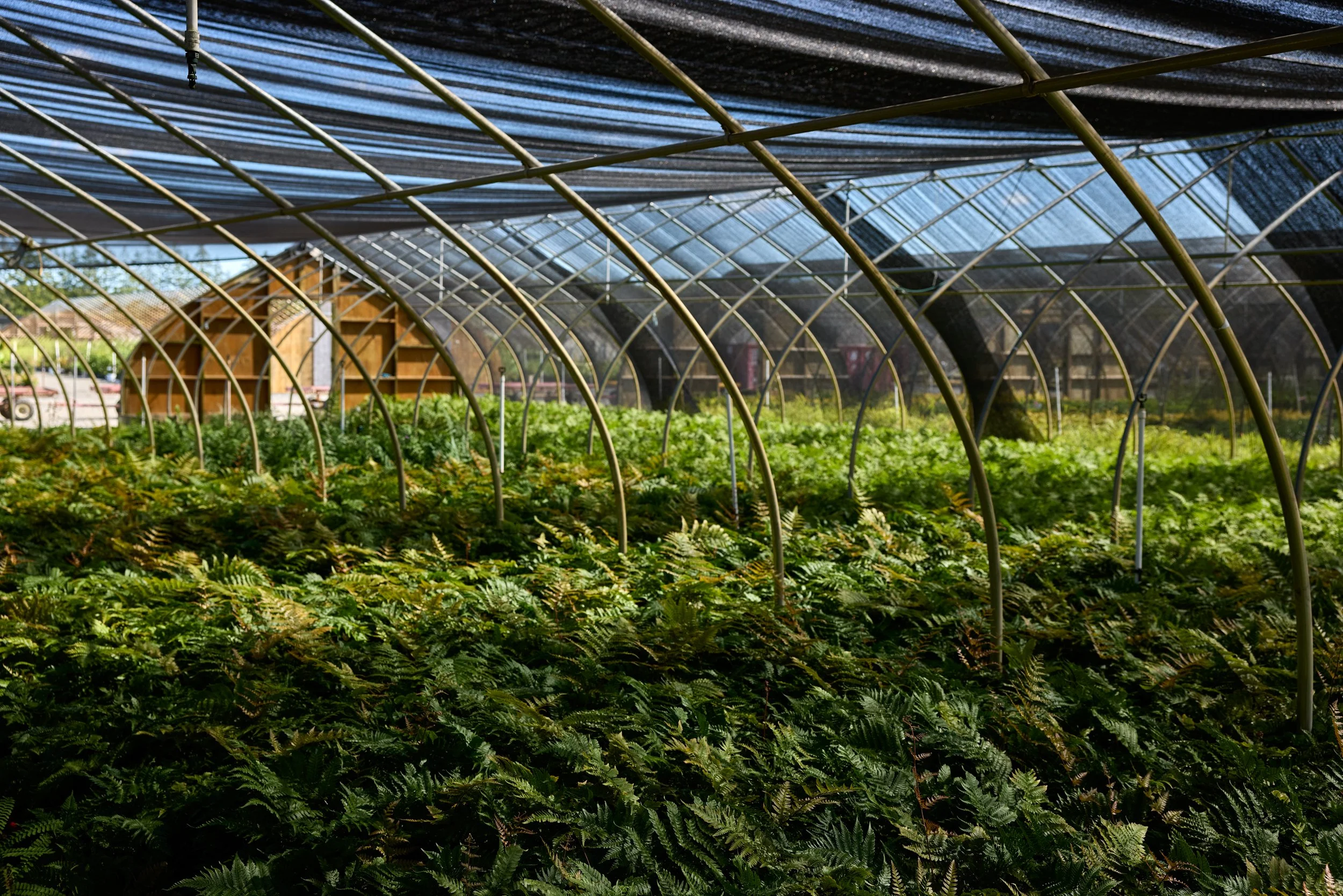 PRN_100225_NURSERY_992.jpg