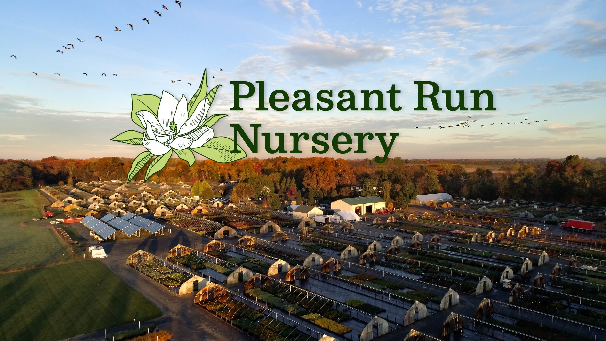 Pleasant Run Nursery; Fall 2023 Brand Video