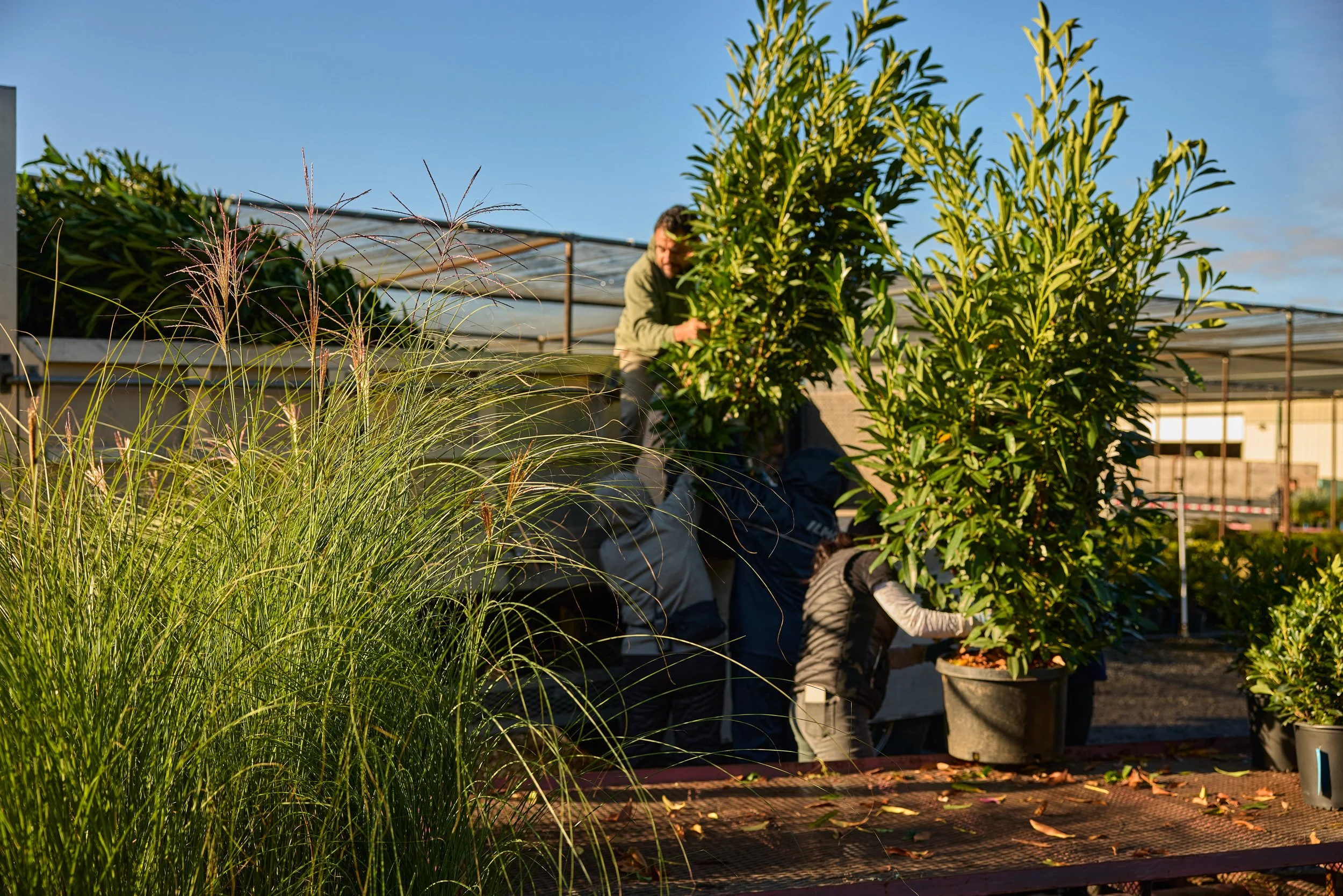 PRN_100225_NURSERY_273.jpg