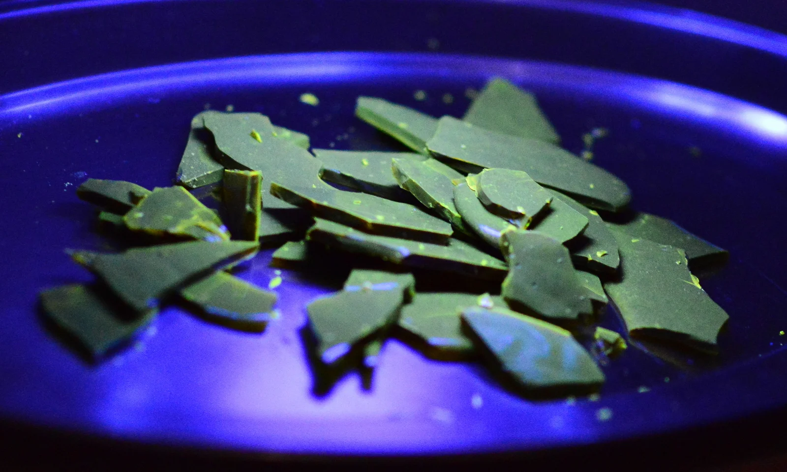 Toxic Tonic Sweets (UV) - Photo Paul Singer (1) lo-res.JPG