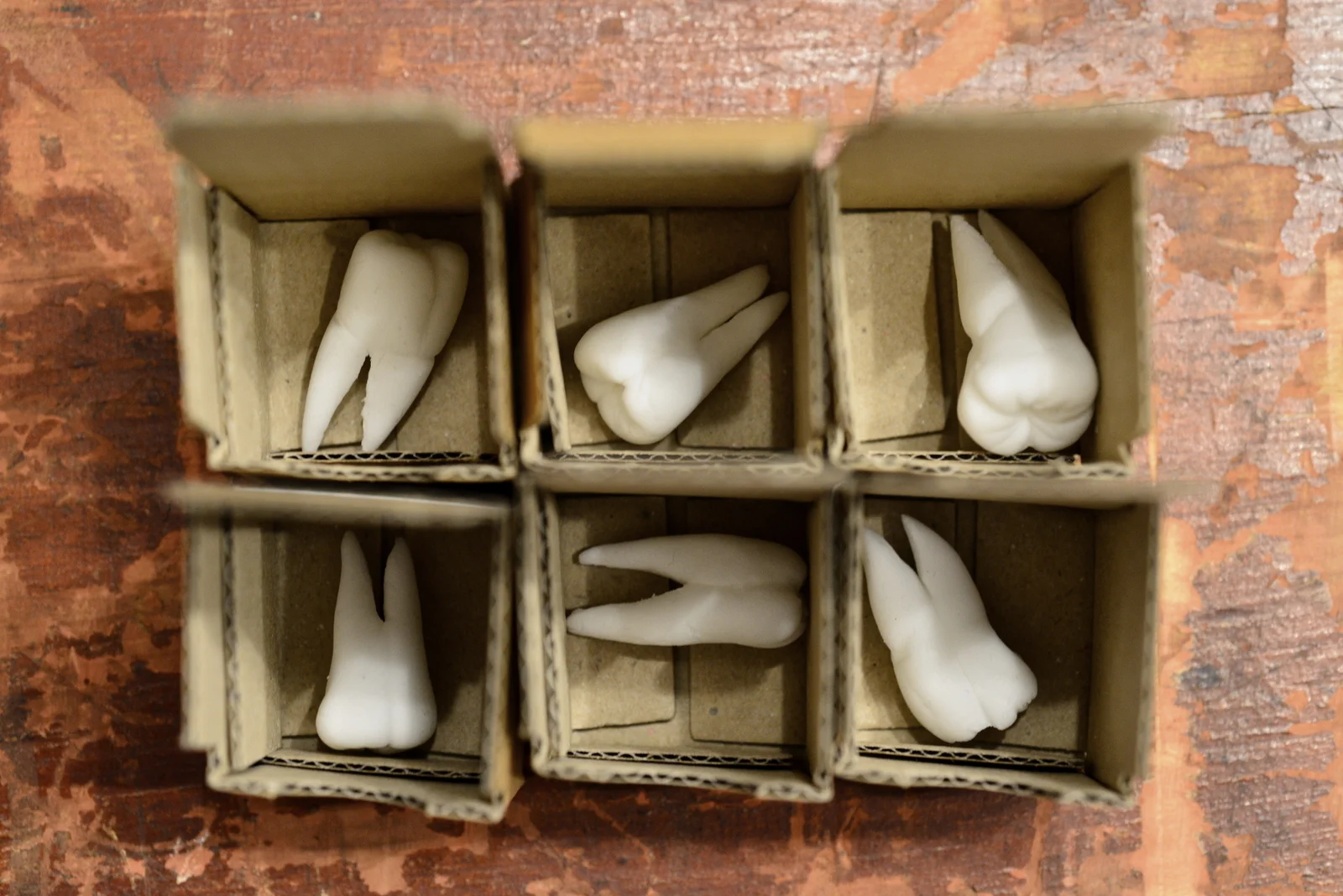 Sweet Tooth (2) Photo Paul Singer (lo-res).JPG