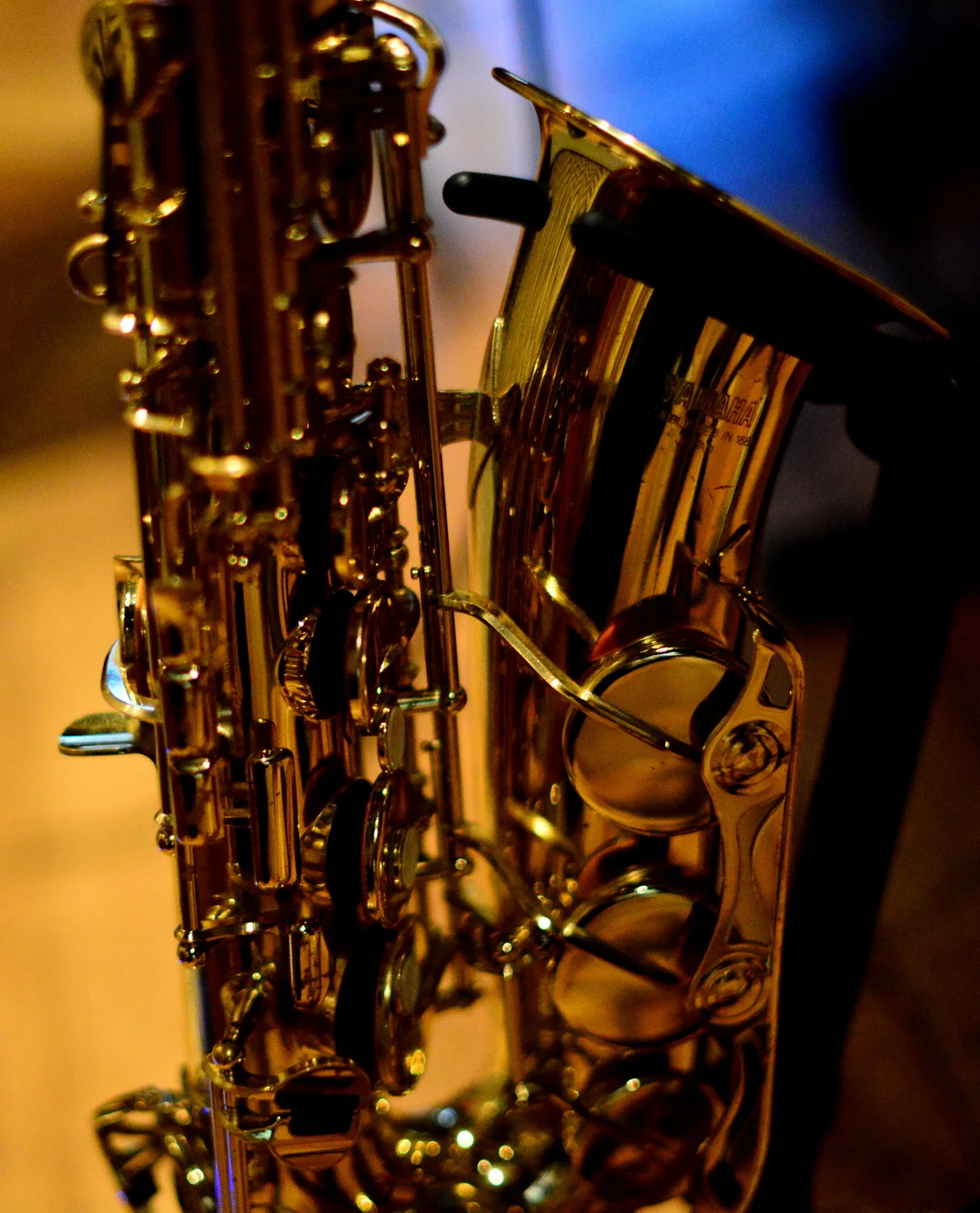 Sonic Sensorium by AVM Curiosities (Photo - Paul Singer) 1-PAS_3012.JPG